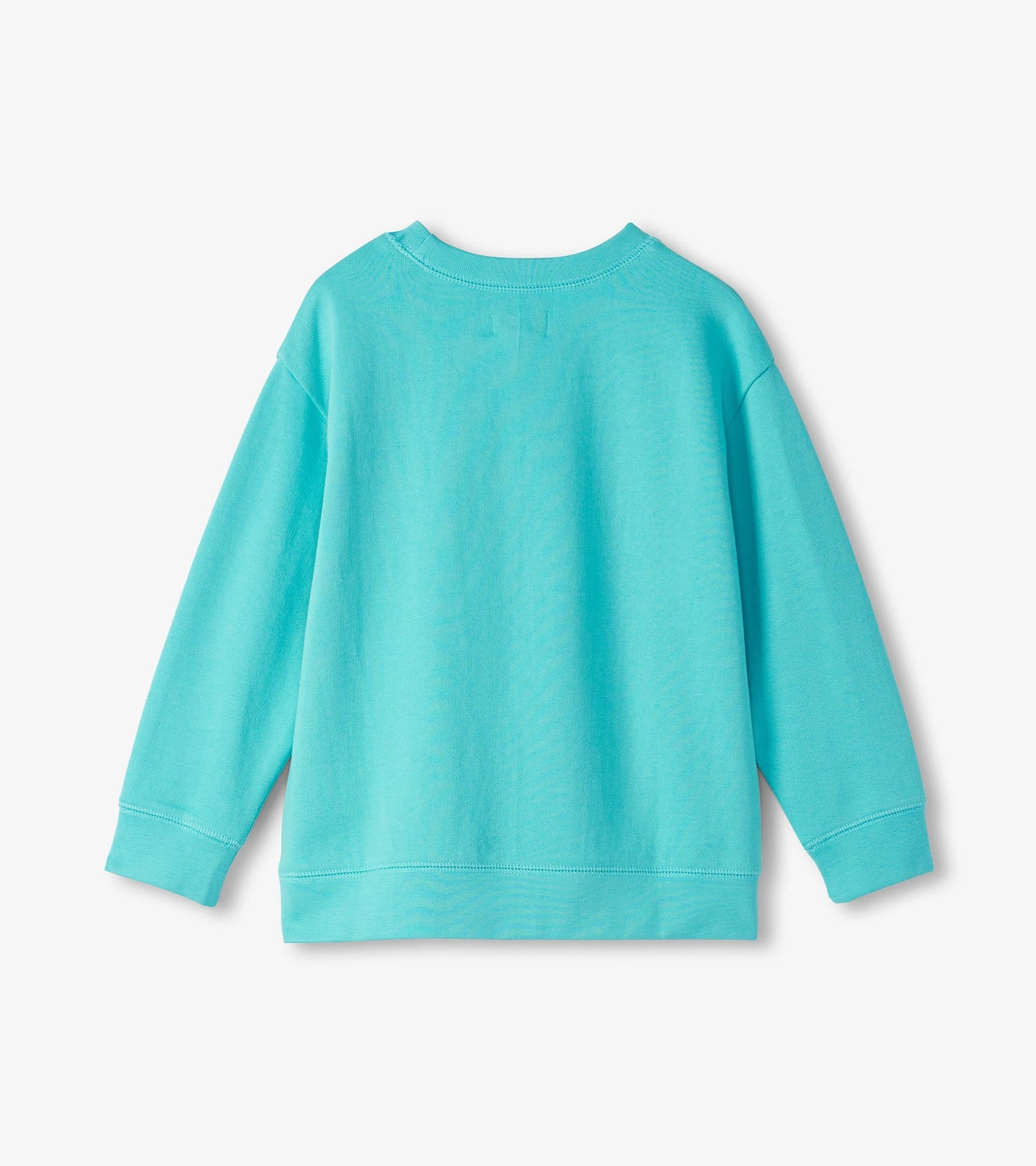 Light blue sweatshirt with long sleeves and a crew neckline, featuring a soft, comfortable fabric. Back view shown.
