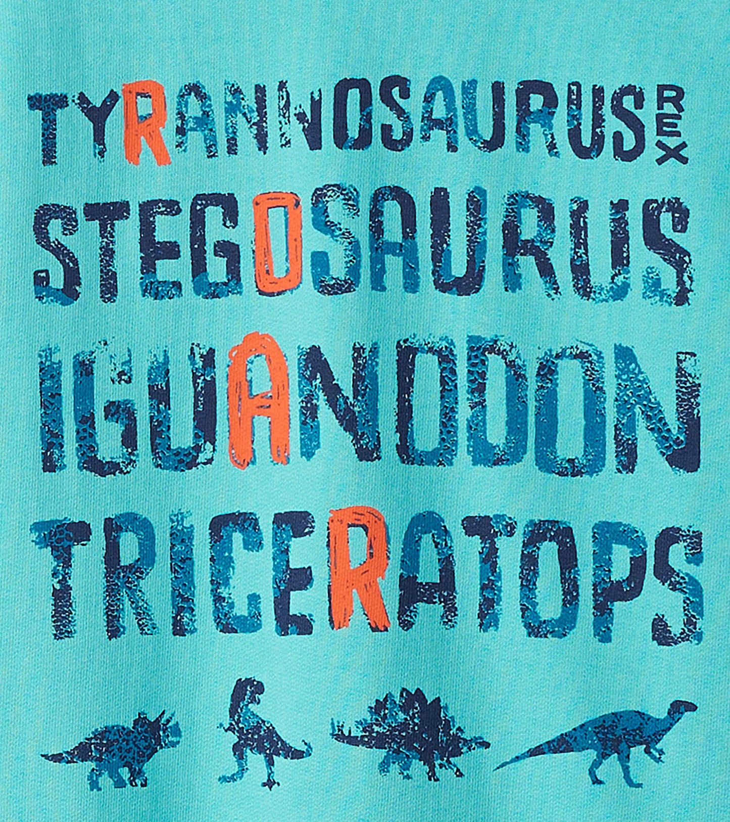 Turquoise sweatshirt featuring dinosaur names in bold, colorful letters and playful dinosaur graphics.