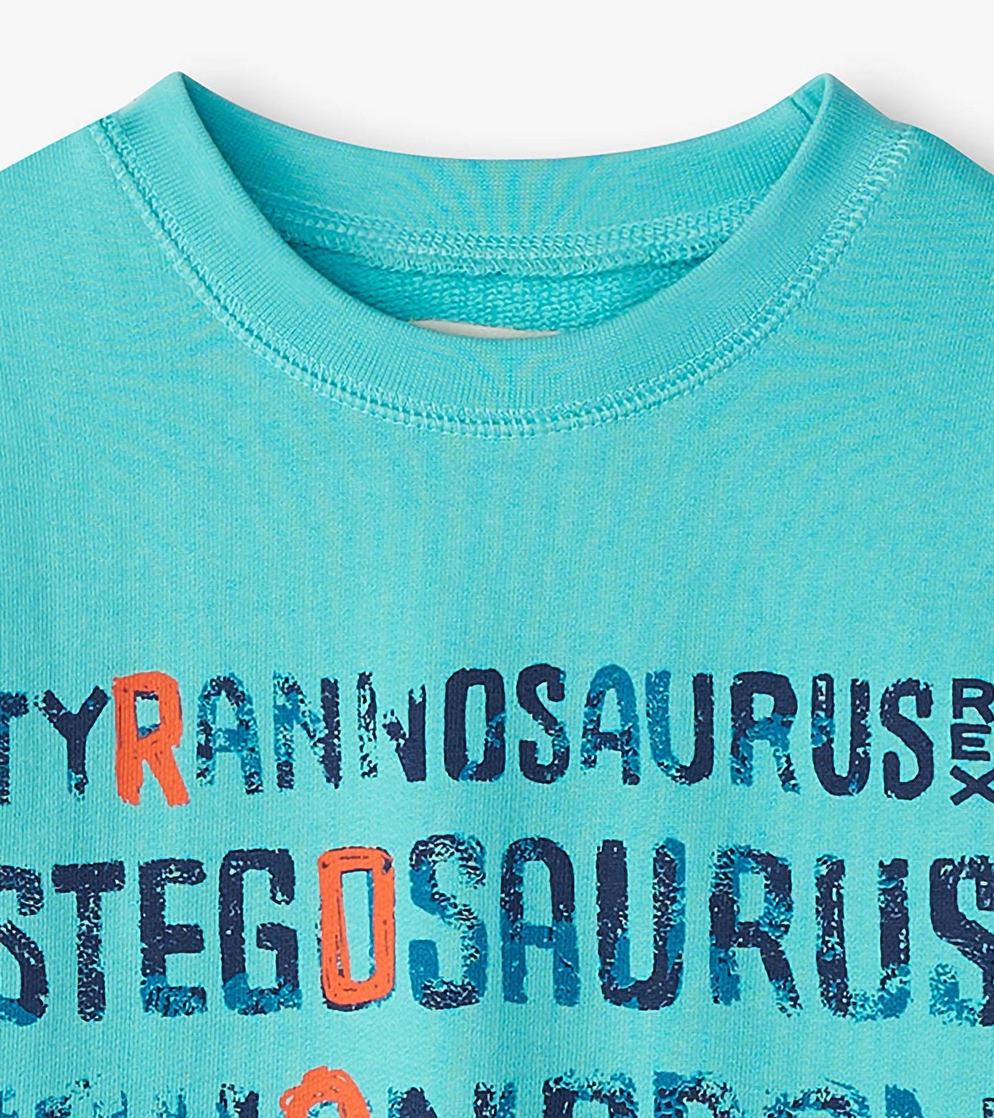 Light blue sweatshirt featuring dinosaur names in bold, colorful text.