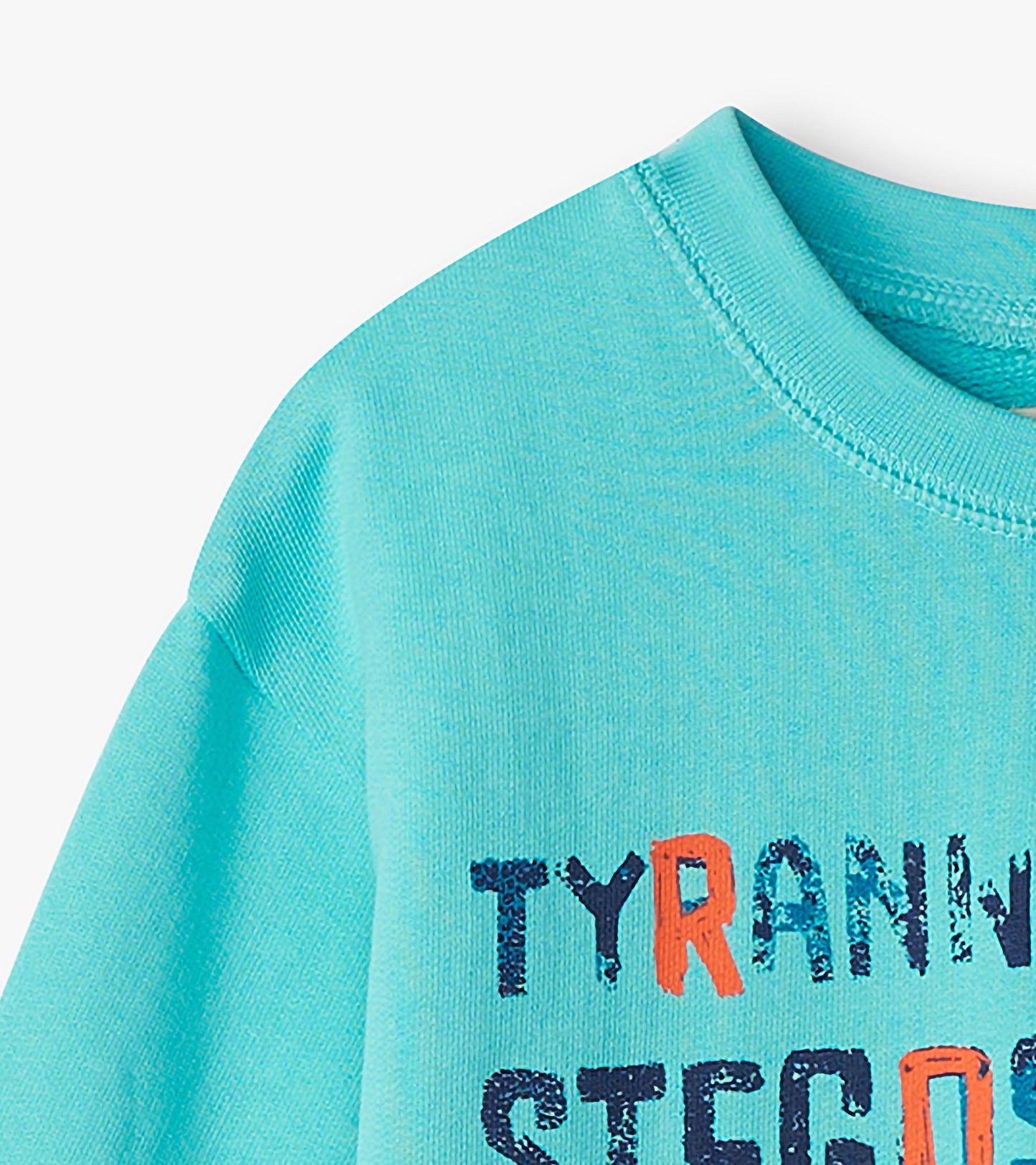 Light blue sweatshirt featuring dinosaur-themed text in bold colors, ideal for casual wear.