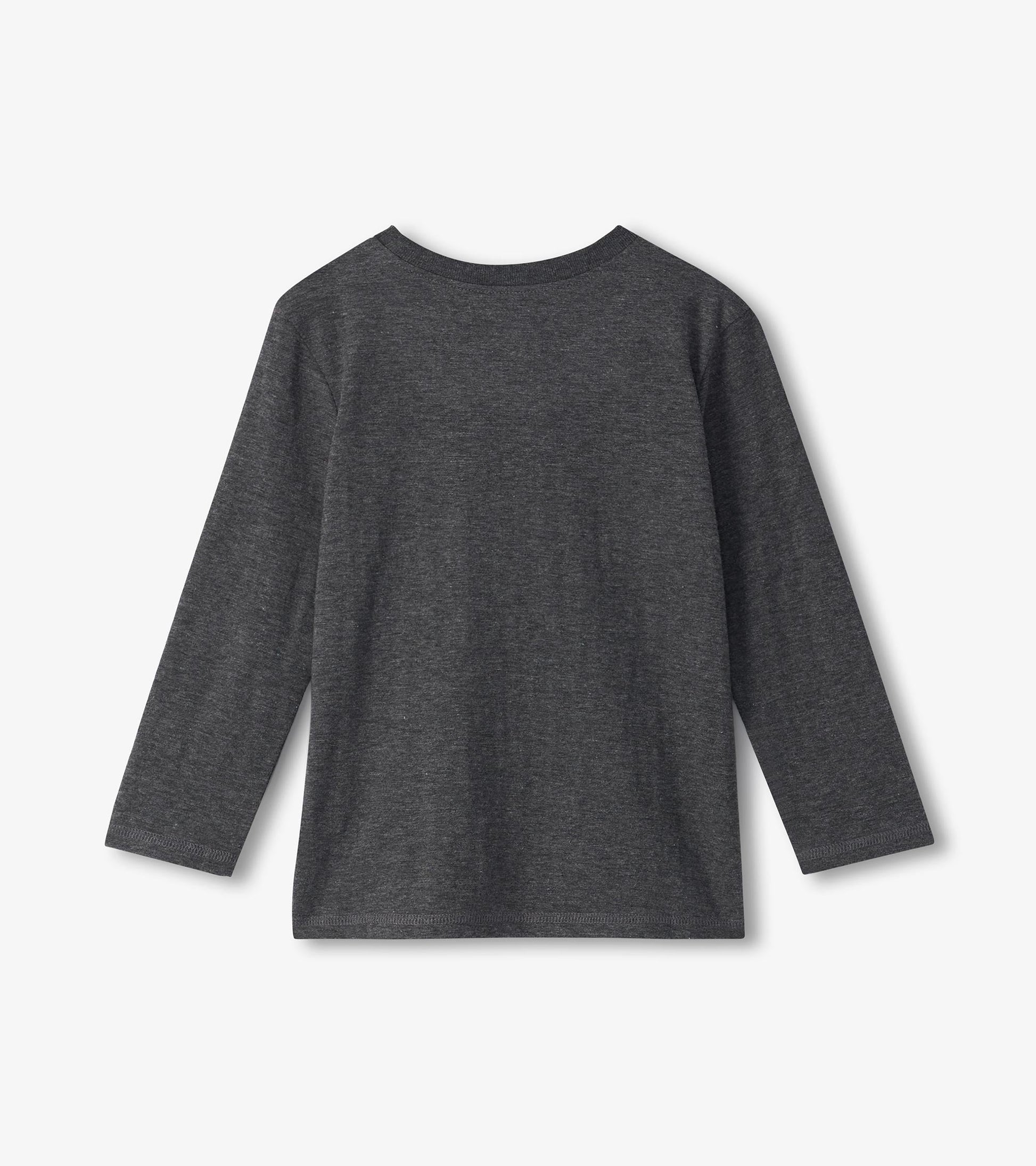 Gray long sleeve T-shirt with a round neckline, designed for boys, featuring a smooth fabric texture.