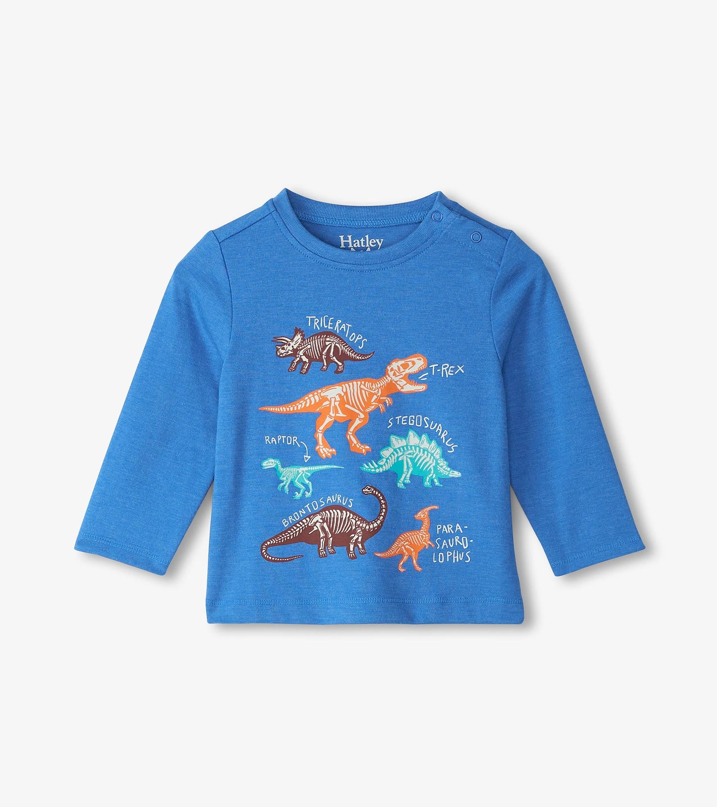 Blue long sleeve t-shirt featuring colorful dinosaur bone graphics and names, suitable for baby and toddler boys.