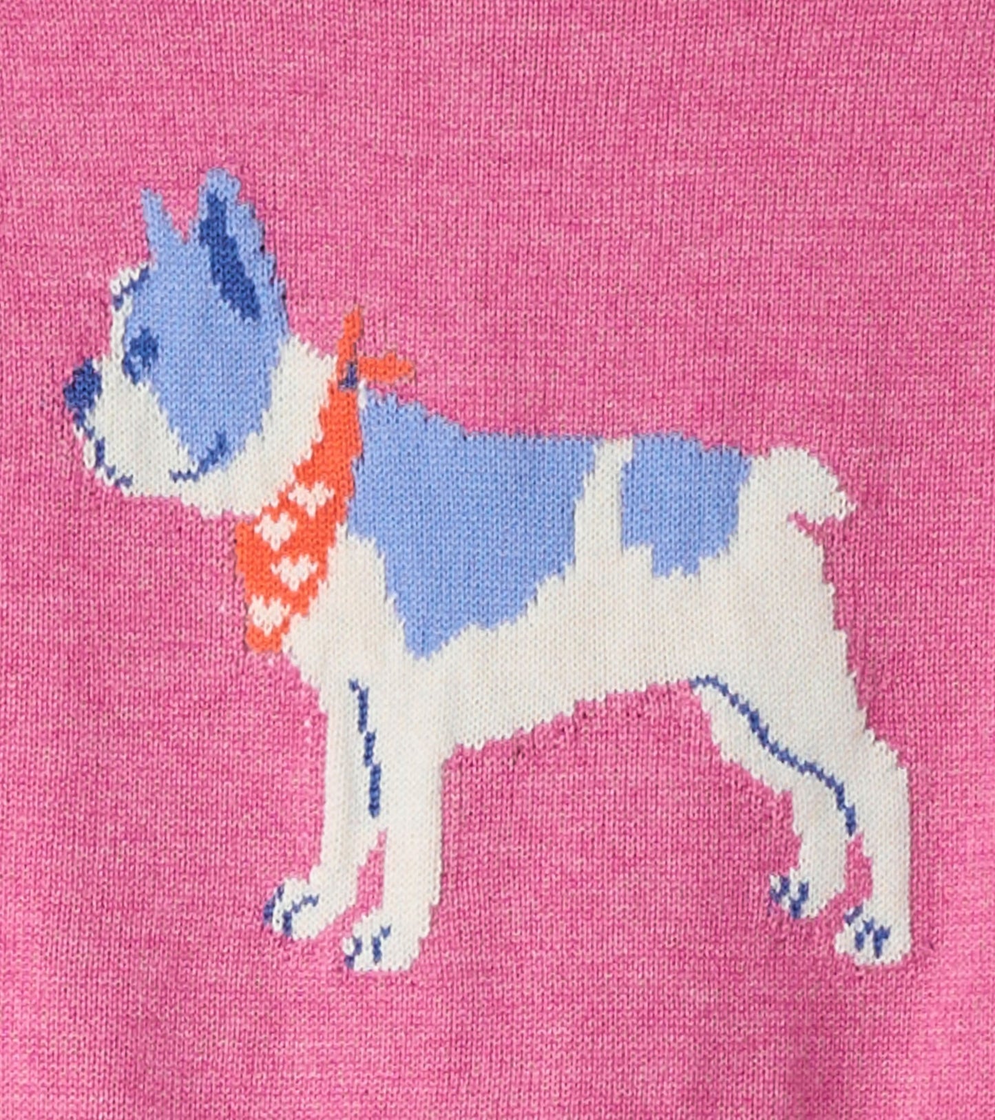 Pull à manches raglan – Bouledogue français