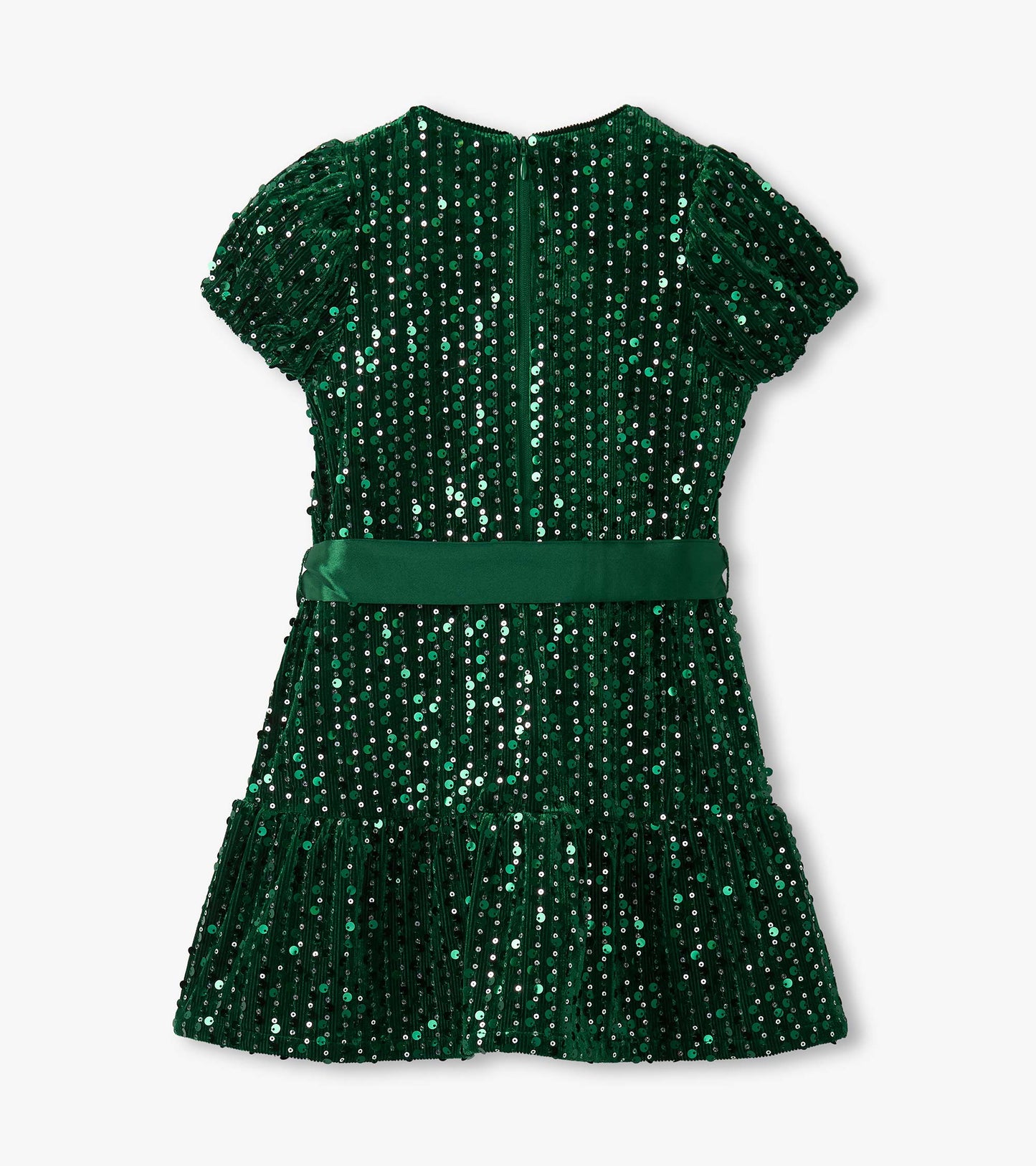 Green velvet dress with sequins, short puff sleeves, a fitted waist, and a flared skirt. Back zipper closure.