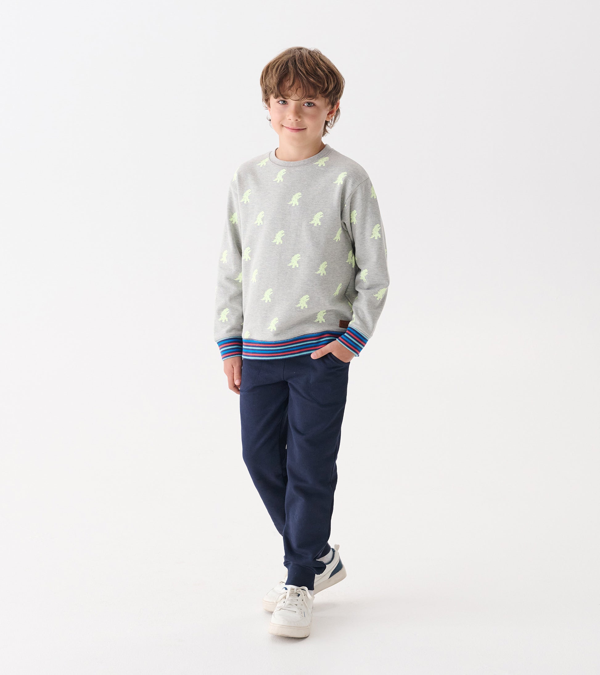 Gray pullover sweatshirt featuring a monster pattern and colorful striped cuffs, worn by a boy with navy pants.