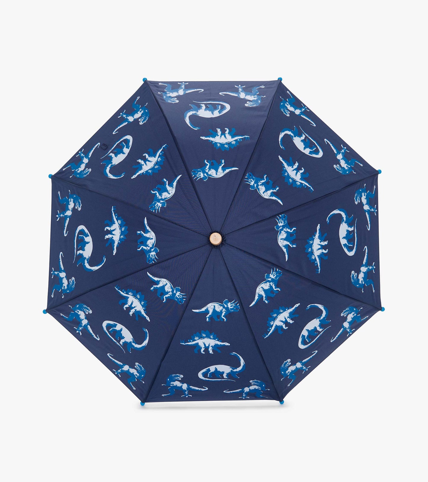 Boys Painted Dinos Umbrella