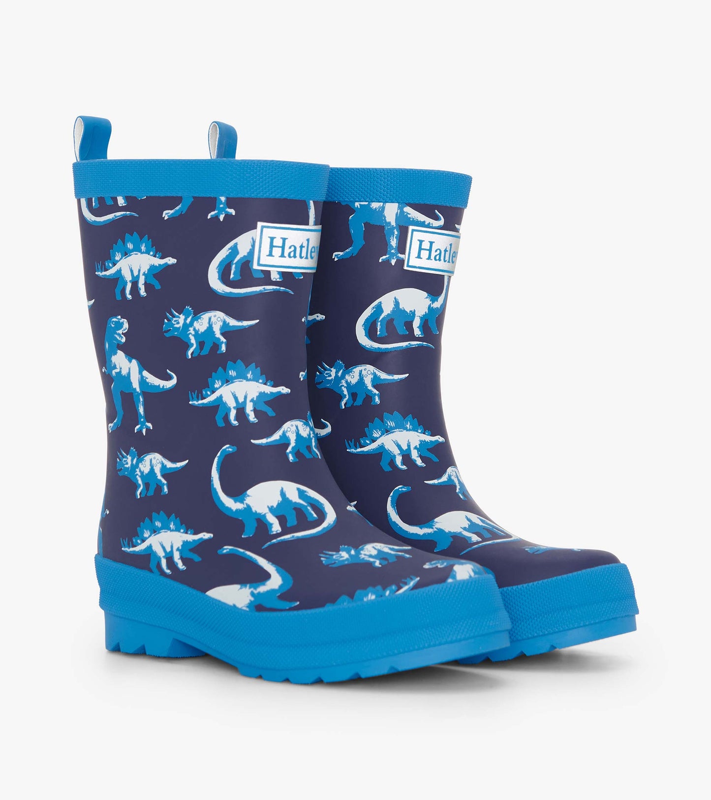 Boys Painted Dinos Matte Rain Boots