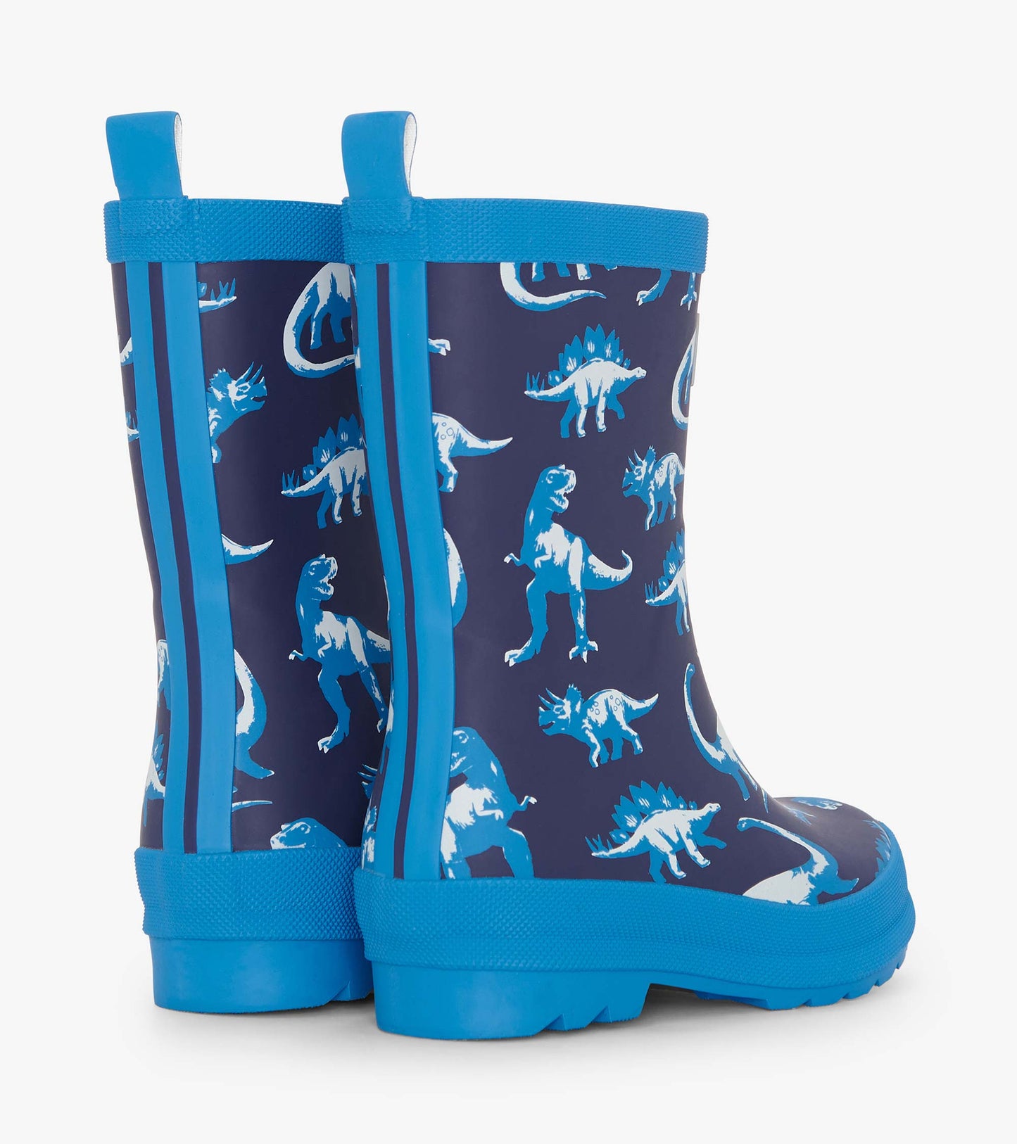 Boys Painted Dinos Matte Rain Boots