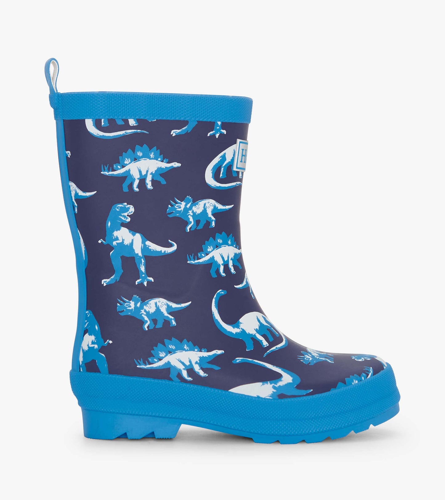 Boys Painted Dinos Matte Rain Boots