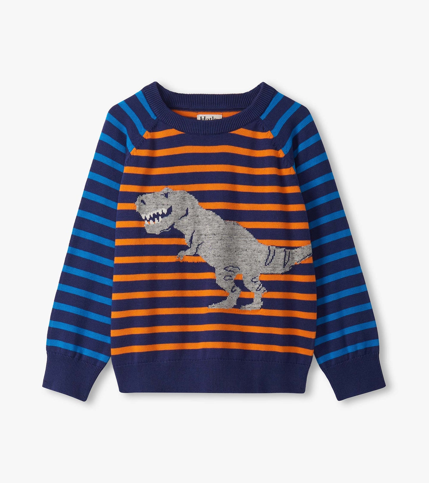 Boys Dino Mixed Stripes Raglan Sweater