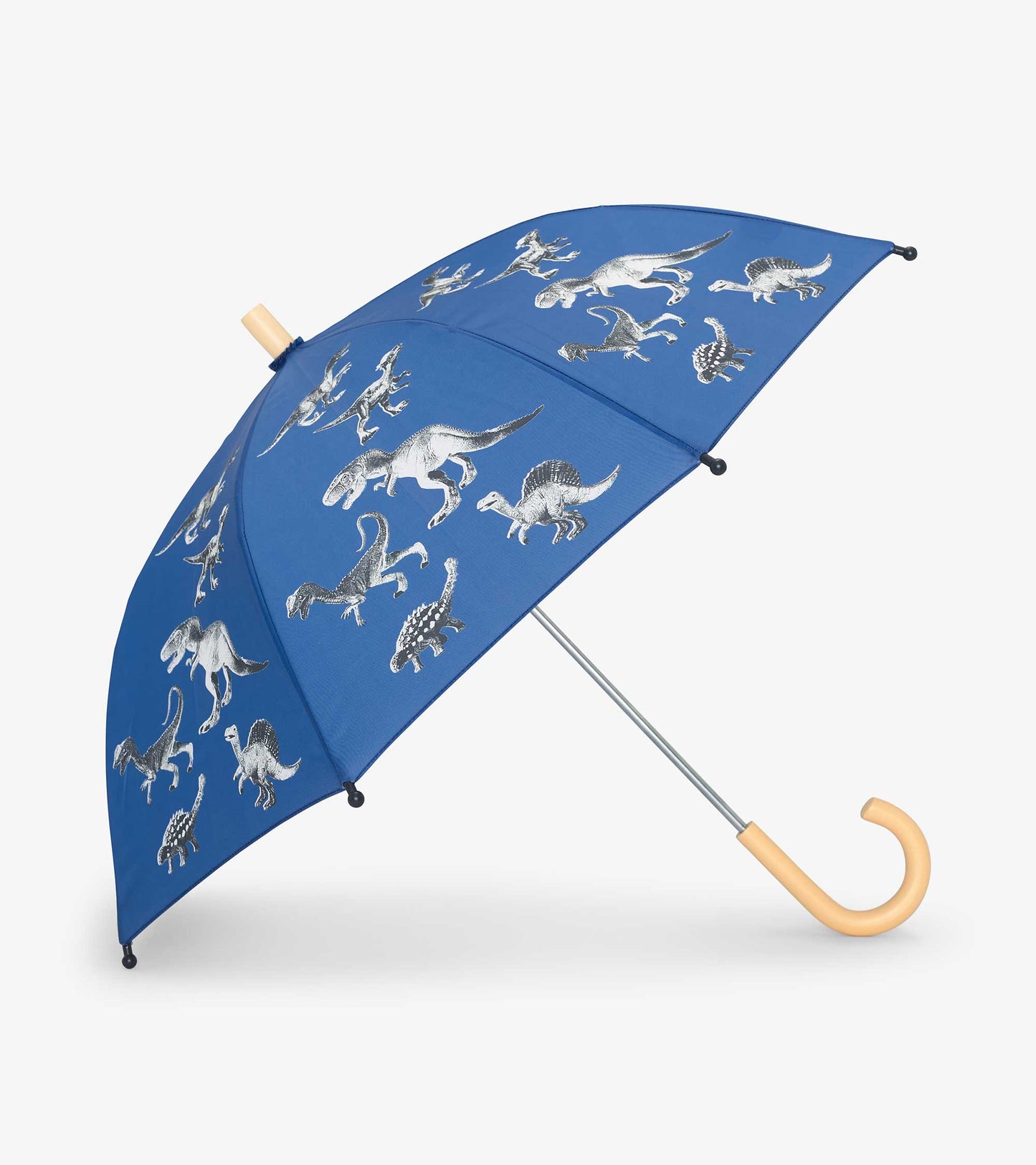 Parapluie – Extinction des dinosaures