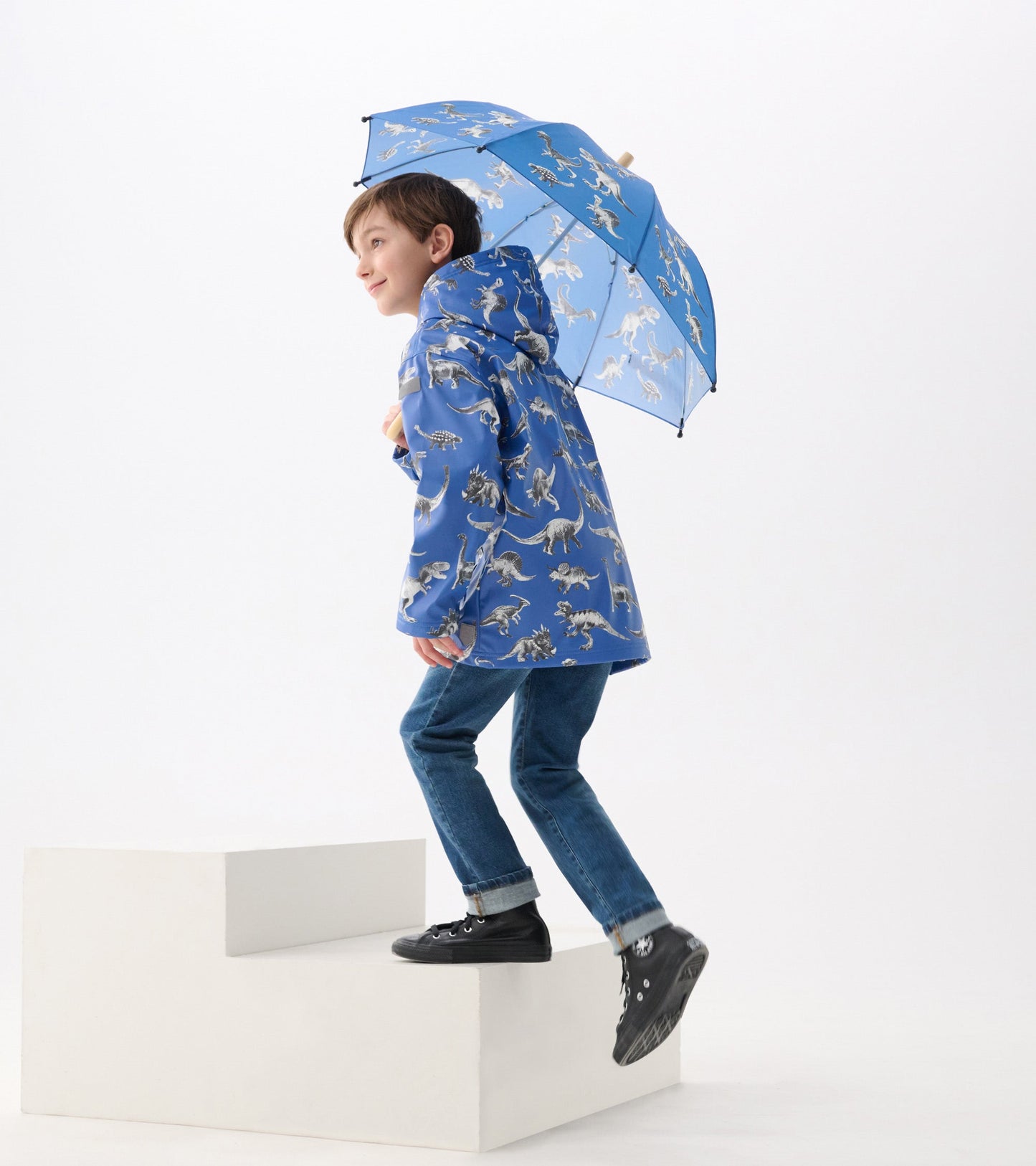 Parapluie – Extinction des dinosaures