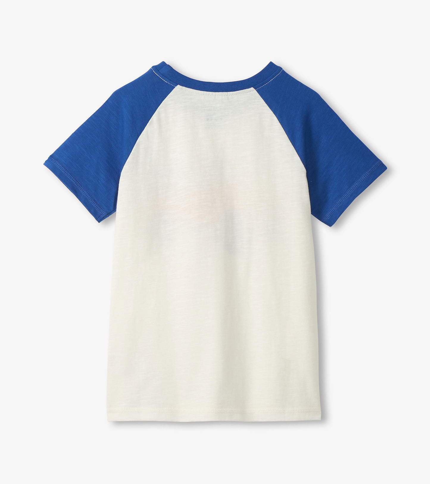 White and blue short-sleeve raglan cotton T-shirt, front view