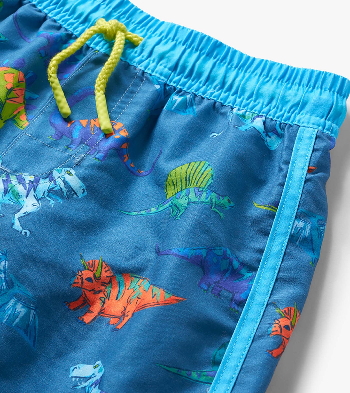 Boys Dino Party Swim Trunks