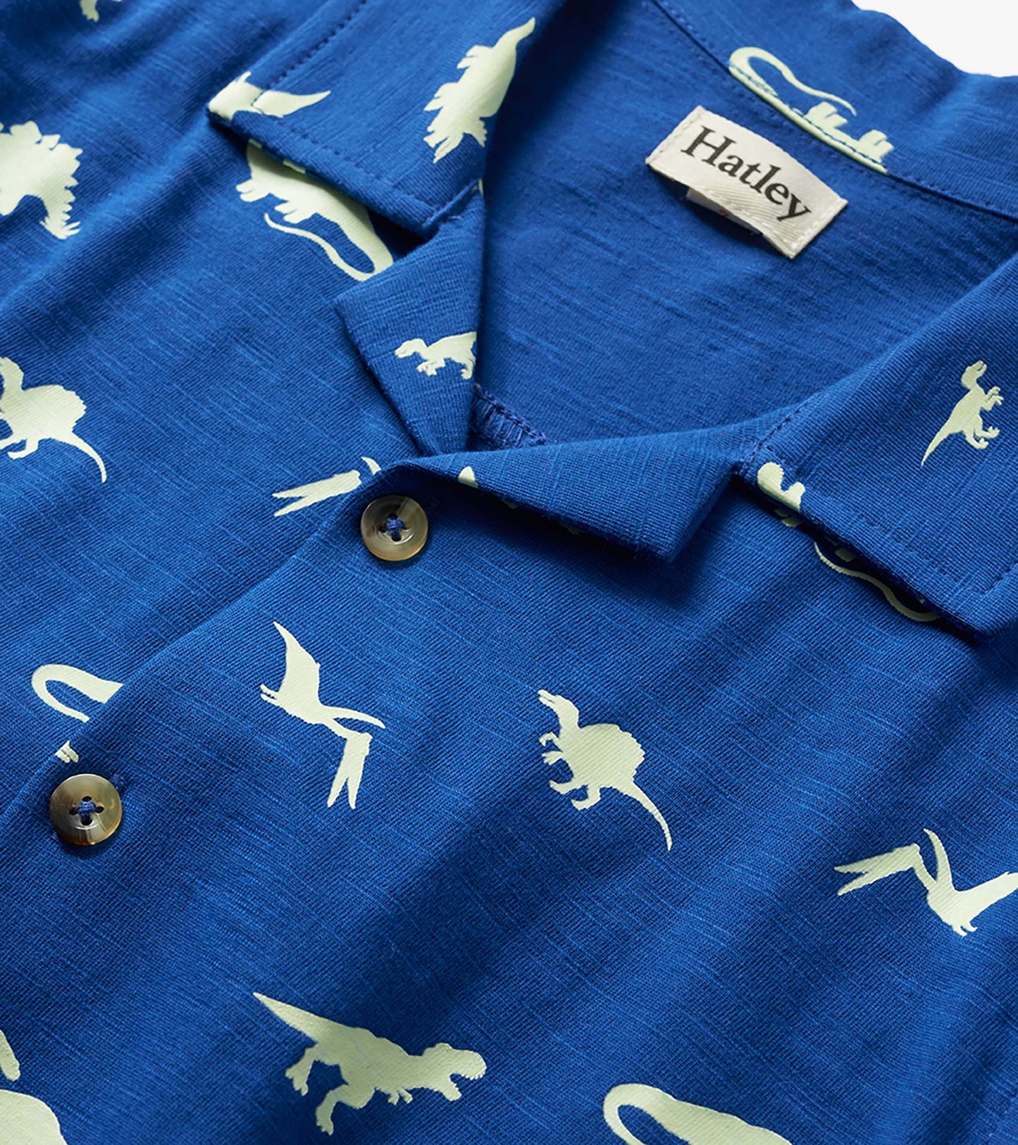 Blue button-down shirt with white dinosaur print and visible collar, buttons, and label close-up