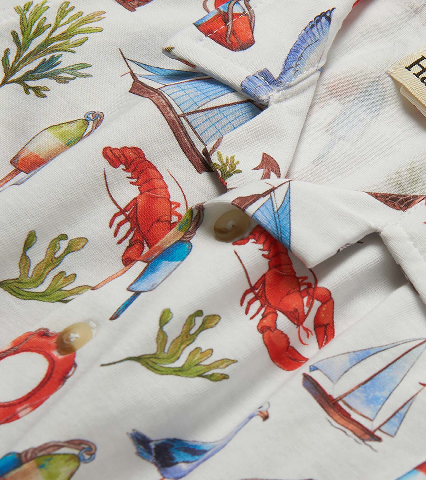 Baby & Toddler Boys Painted Seascape Jersey Button Down