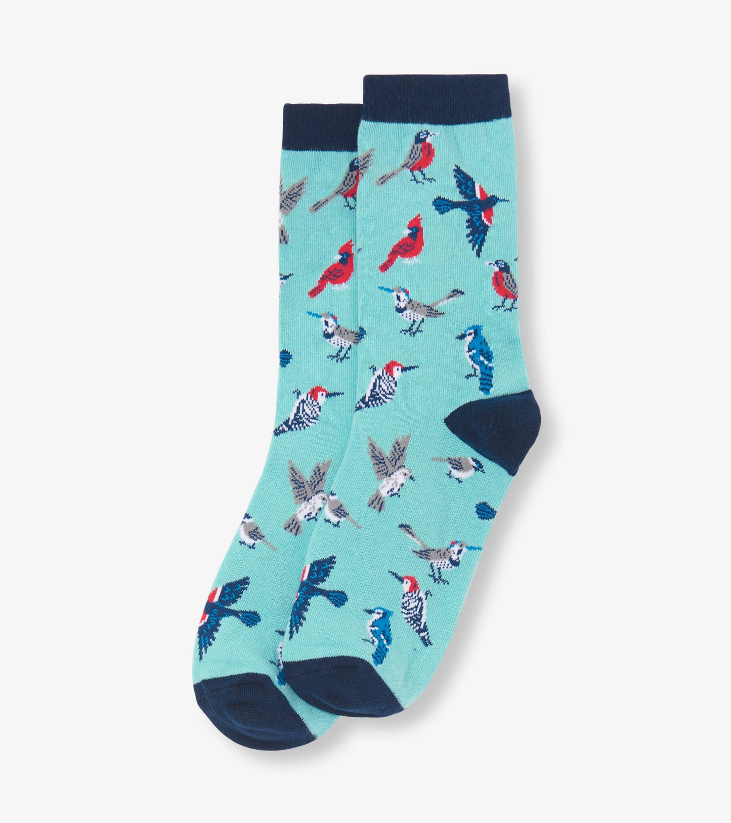 Turquoise crew socks featuring a colorful bird pattern and navy blue cuffs, suitable for casual wear.