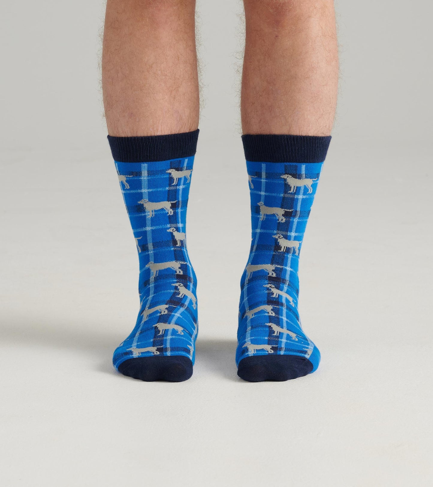 Chaussettes pour homme – Chiens sur motif écossais bleu