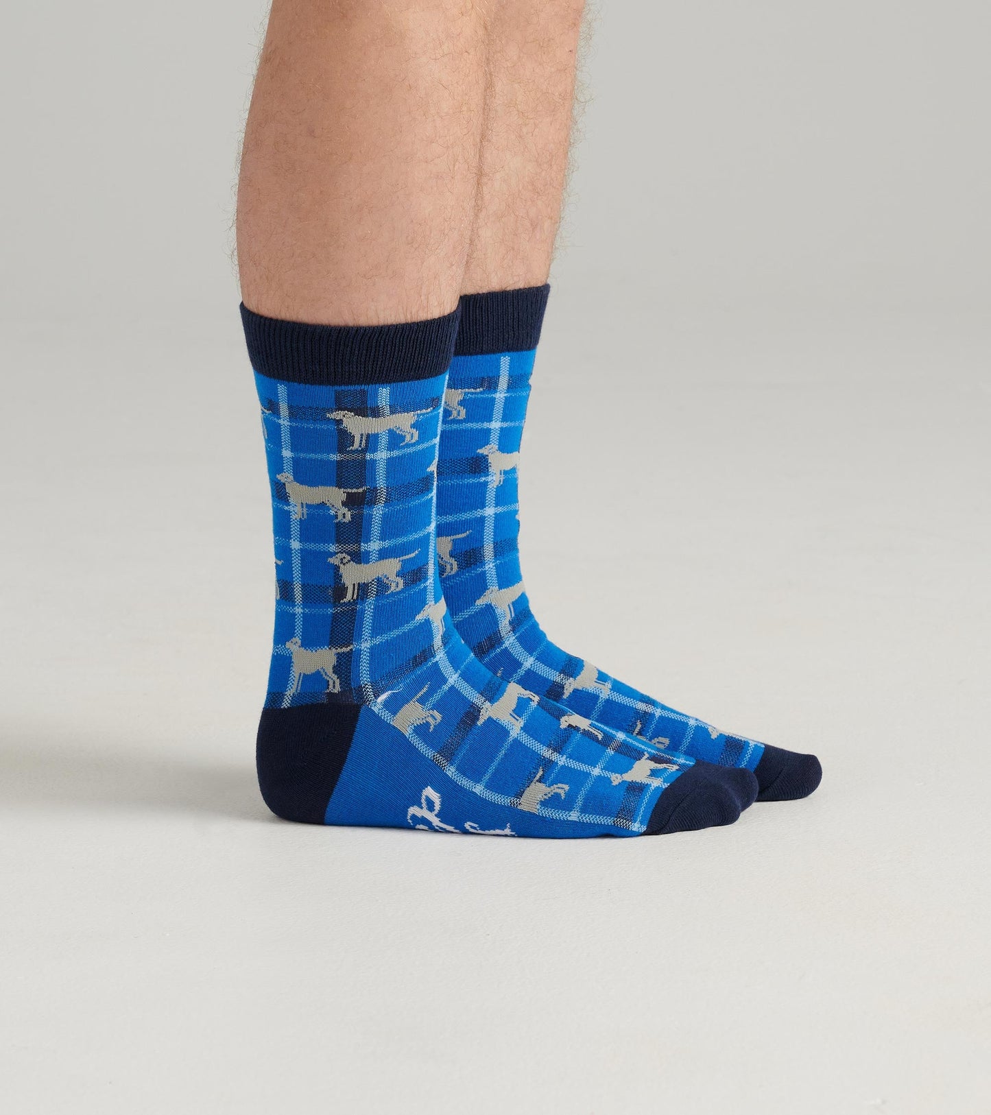Chaussettes pour homme – Chiens sur motif écossais bleu