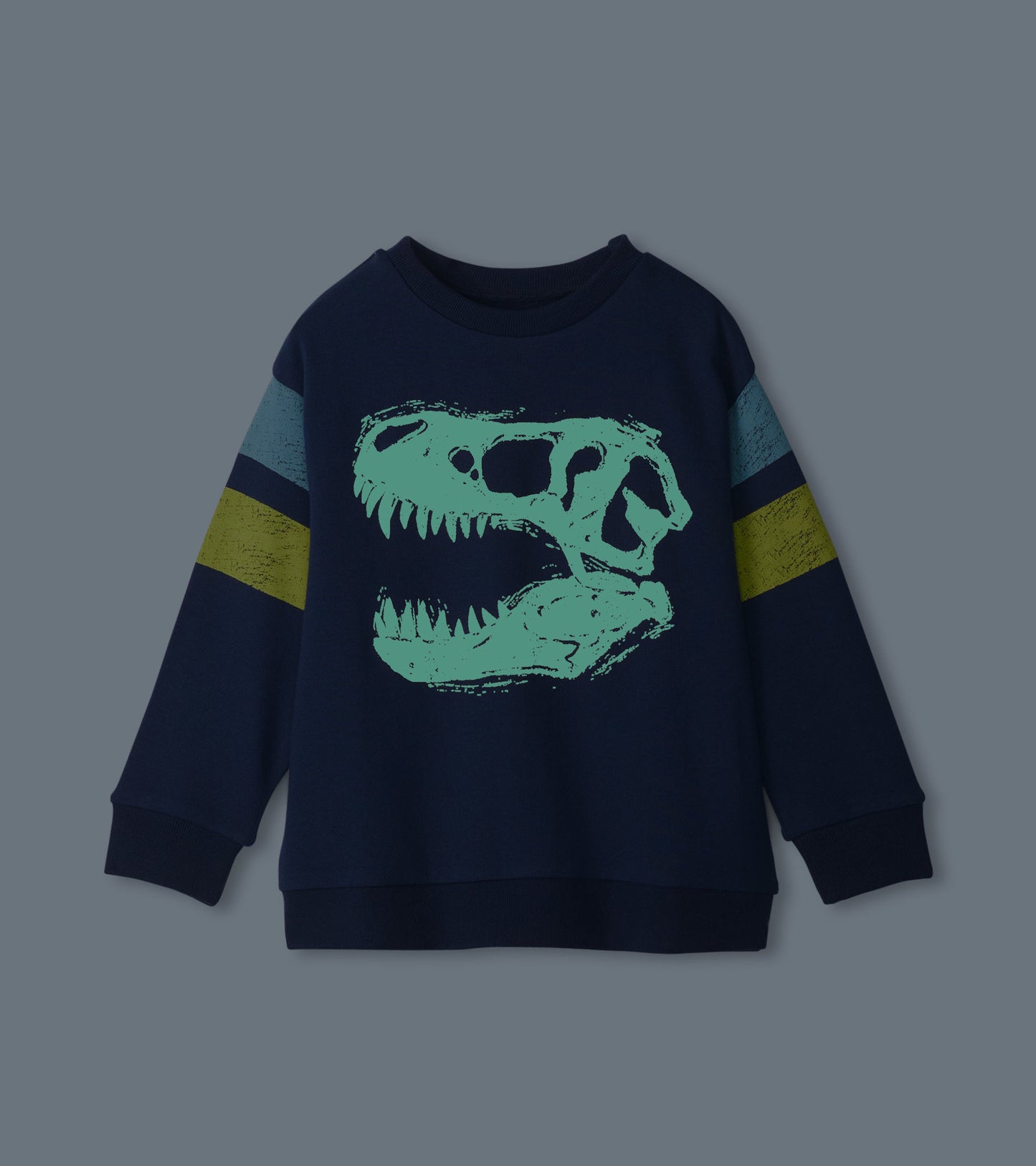 Navy pullover sweatshirt featuring a green dinosaur skull graphic and colorful striped sleeves.