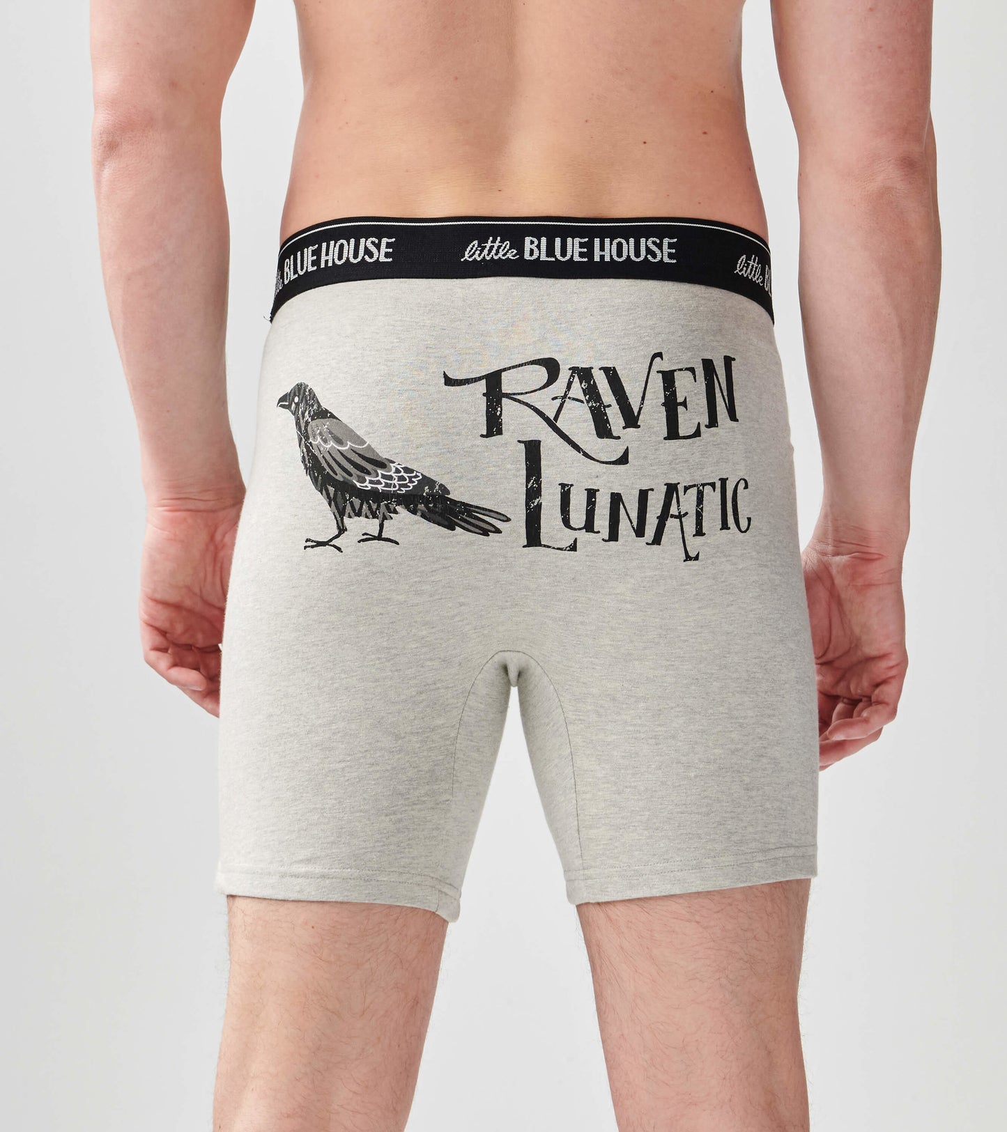 Gray boxer briefs featuring a raven graphic and the text "RAVEN LUNATIC" on the back, with a black waistband.