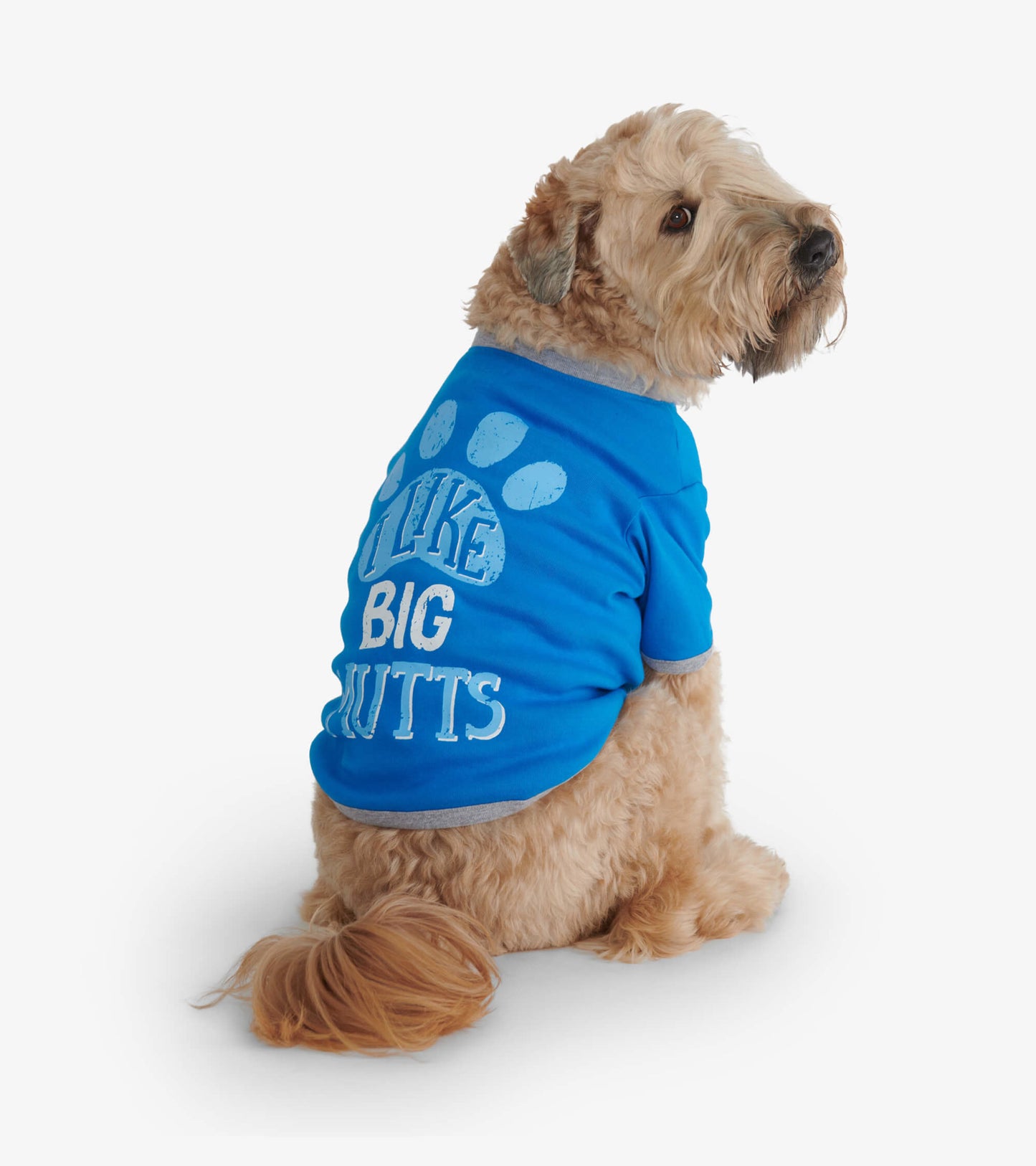 Blue dog tee with gray trim, featuring the text "I LIKE BIG NUTTS" and paw print design, shown on a seated dog.