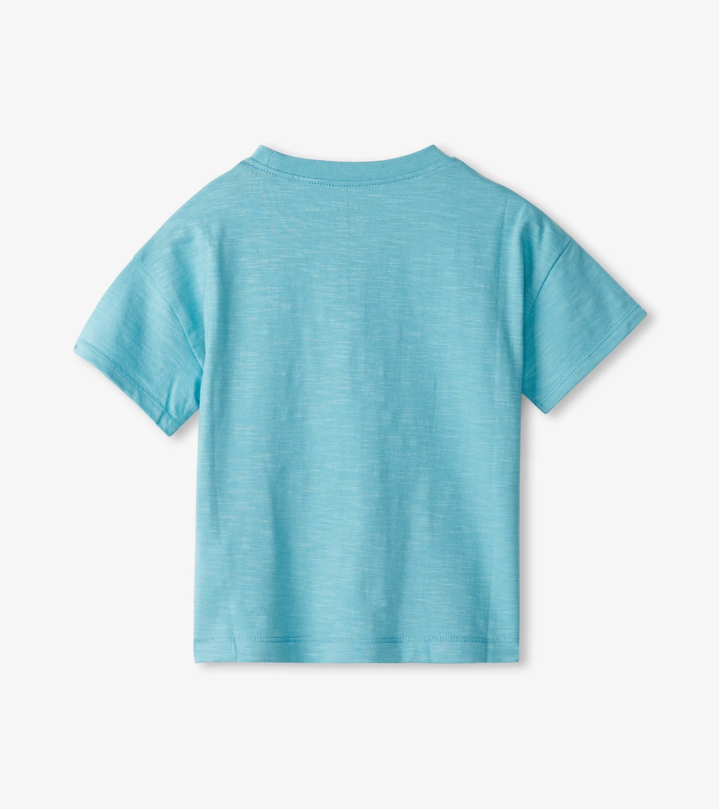 Light blue short-sleeve tee with a soft texture, featuring a round neckline and a relaxed fit for baby and toddler boys.