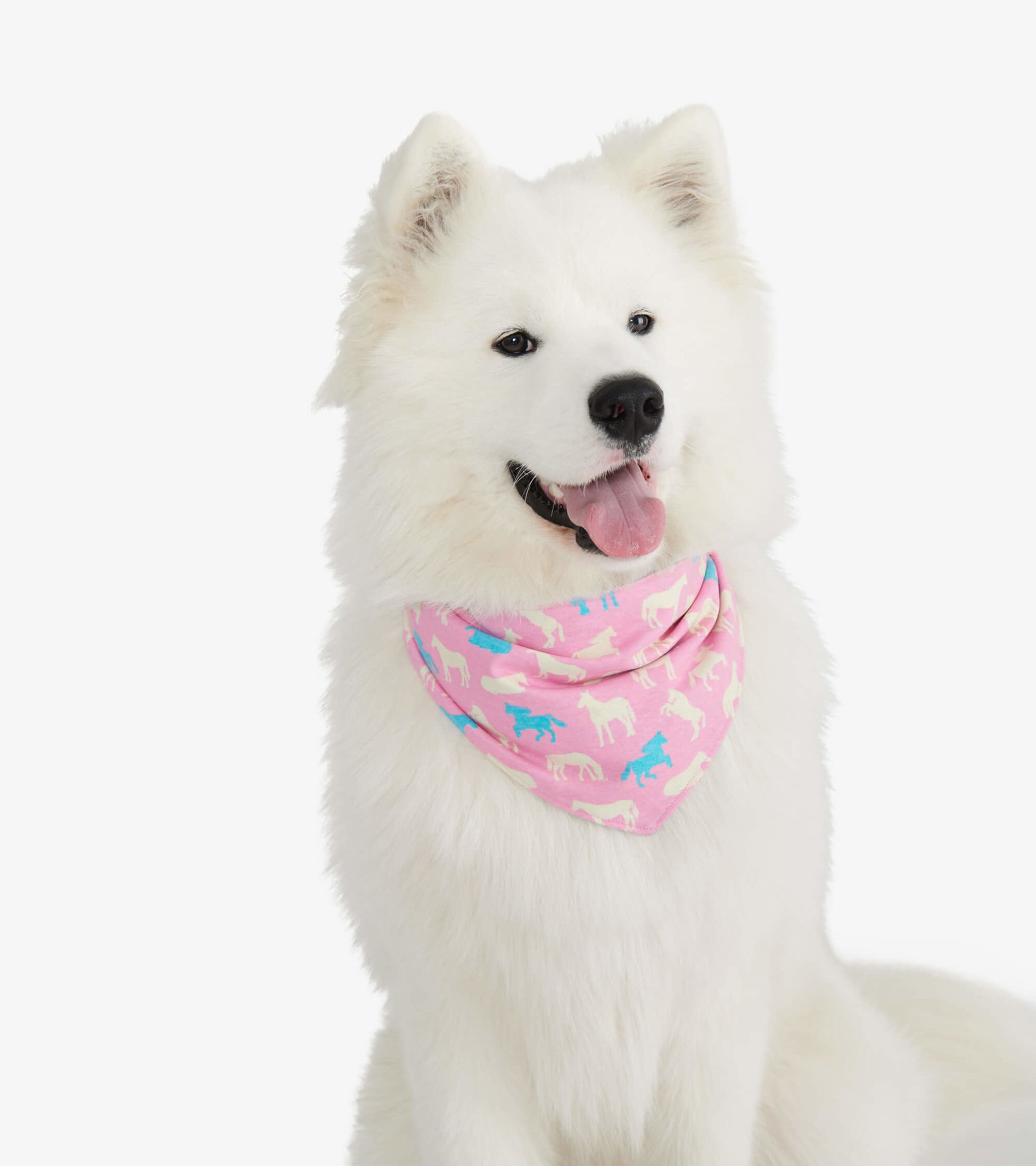 Reversible dog bandana in pink with blue and white dog patterns, worn by a fluffy white dog.