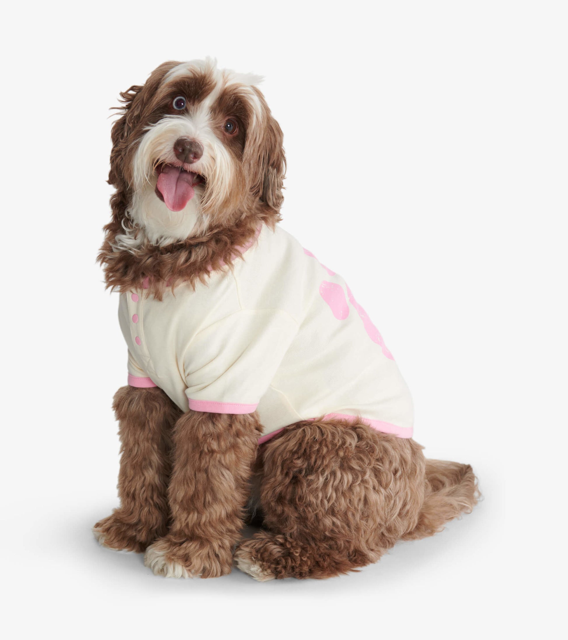 Cream dog tee with pink accents and paw print design, worn by a fluffy brown dog sitting and smiling.