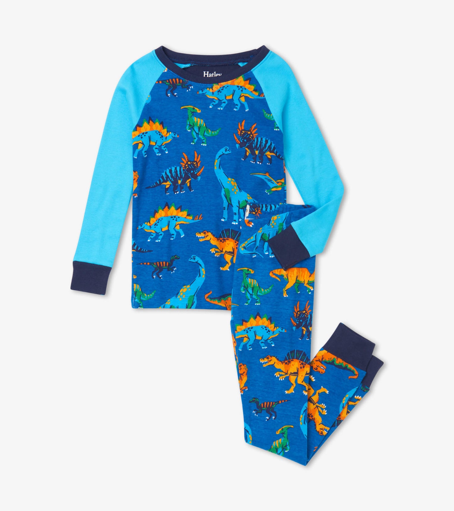 Blue organic cotton pajama set featuring colorful dinosaur prints, with a raglan sleeve top and matching pants.