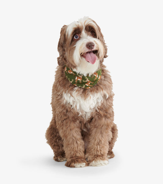 Reversible dog bandana in green with deer pattern, worn by a fluffy brown dog sitting and looking at the camera.