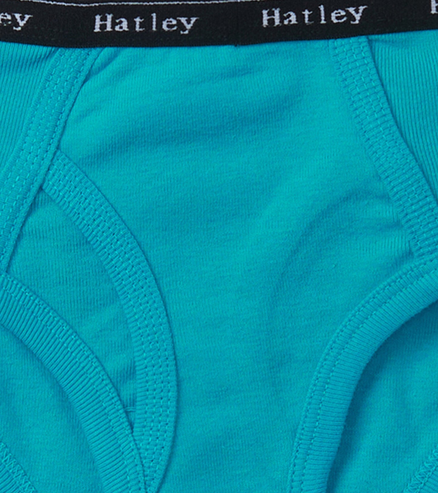 Turquoise classic briefs with a black elastic waistband, featuring a smooth texture and snug fit.