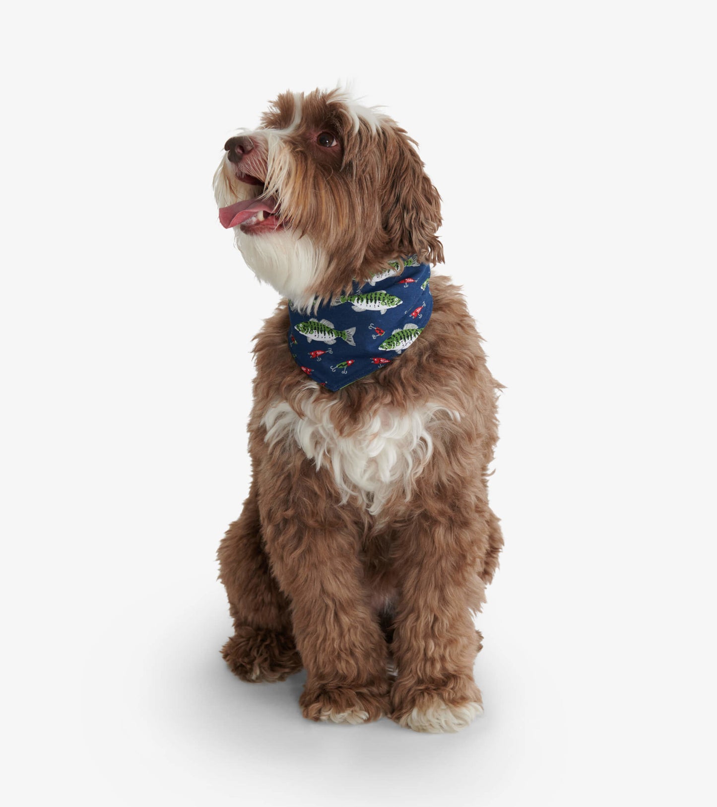 Reversible dog bandana in navy with fish pattern, worn by a brown and white dog, suitable for outdoor adventures.