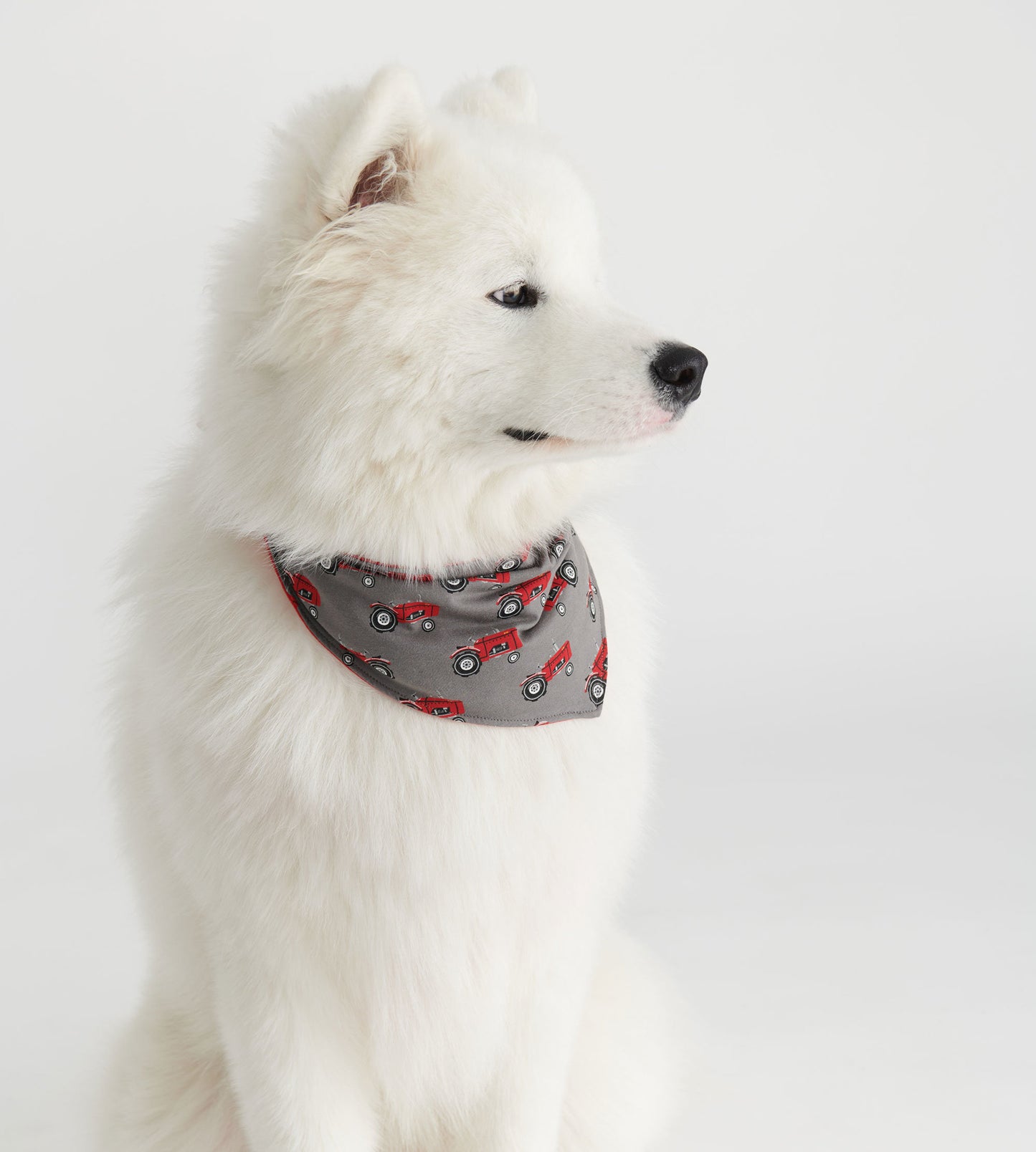 Reversible dog bandana featuring a gray background with red tractor patterns, worn by a fluffy white dog.