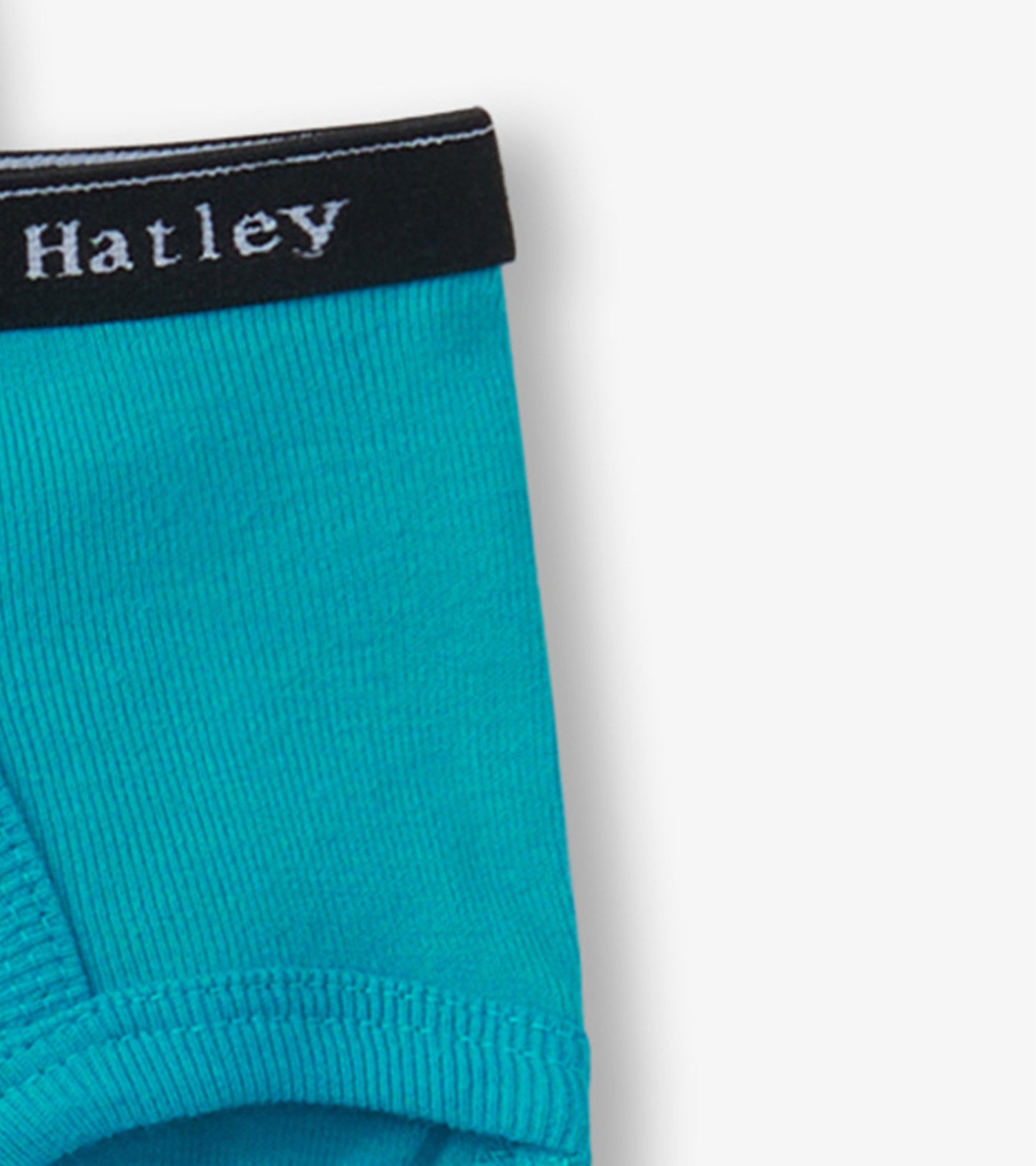 Turquoise solid classic briefs with a black elastic waistband, featuring ribbed texture and a snug fit.