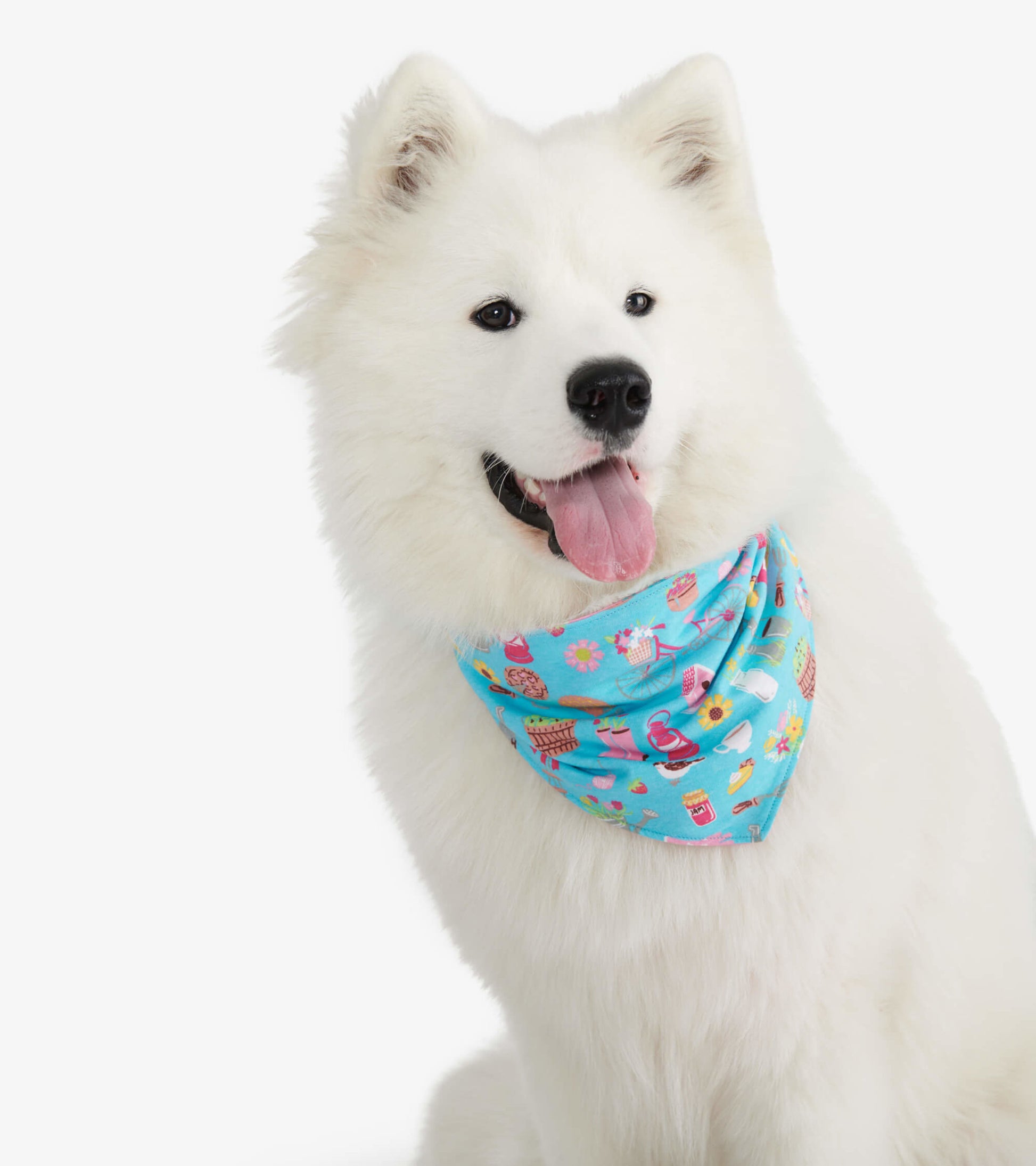 Light blue reversible dog bandana featuring colorful patterns of ice cream, flowers, and playful designs, worn by a white do…