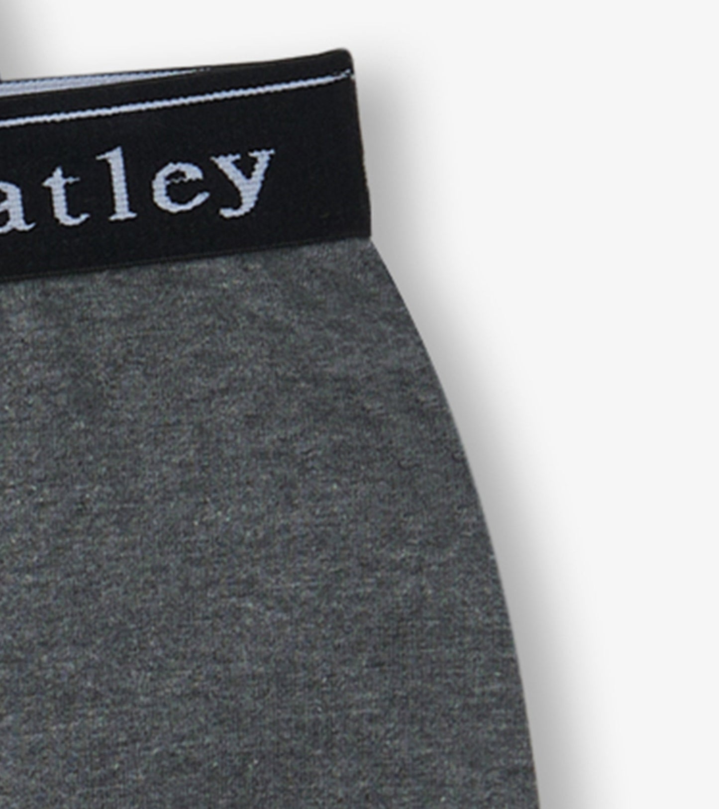 Gray boxer briefs with a black waistband, featuring a logo, designed for boys in a classic solid style.