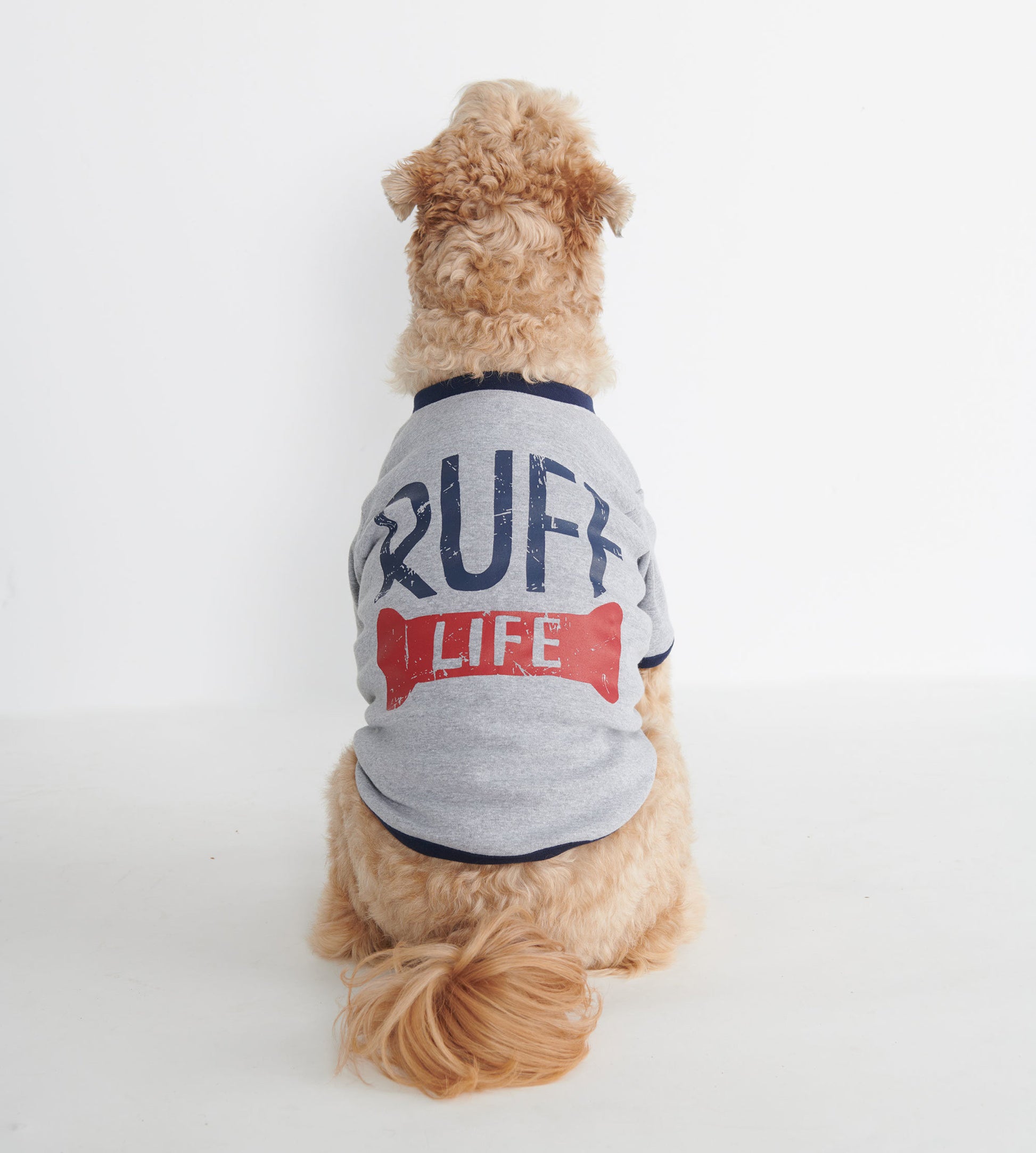 Gray dog tee with "RUFF LIFE" text and red bone graphic, featuring a navy trim, shown on a seated dog from the back.