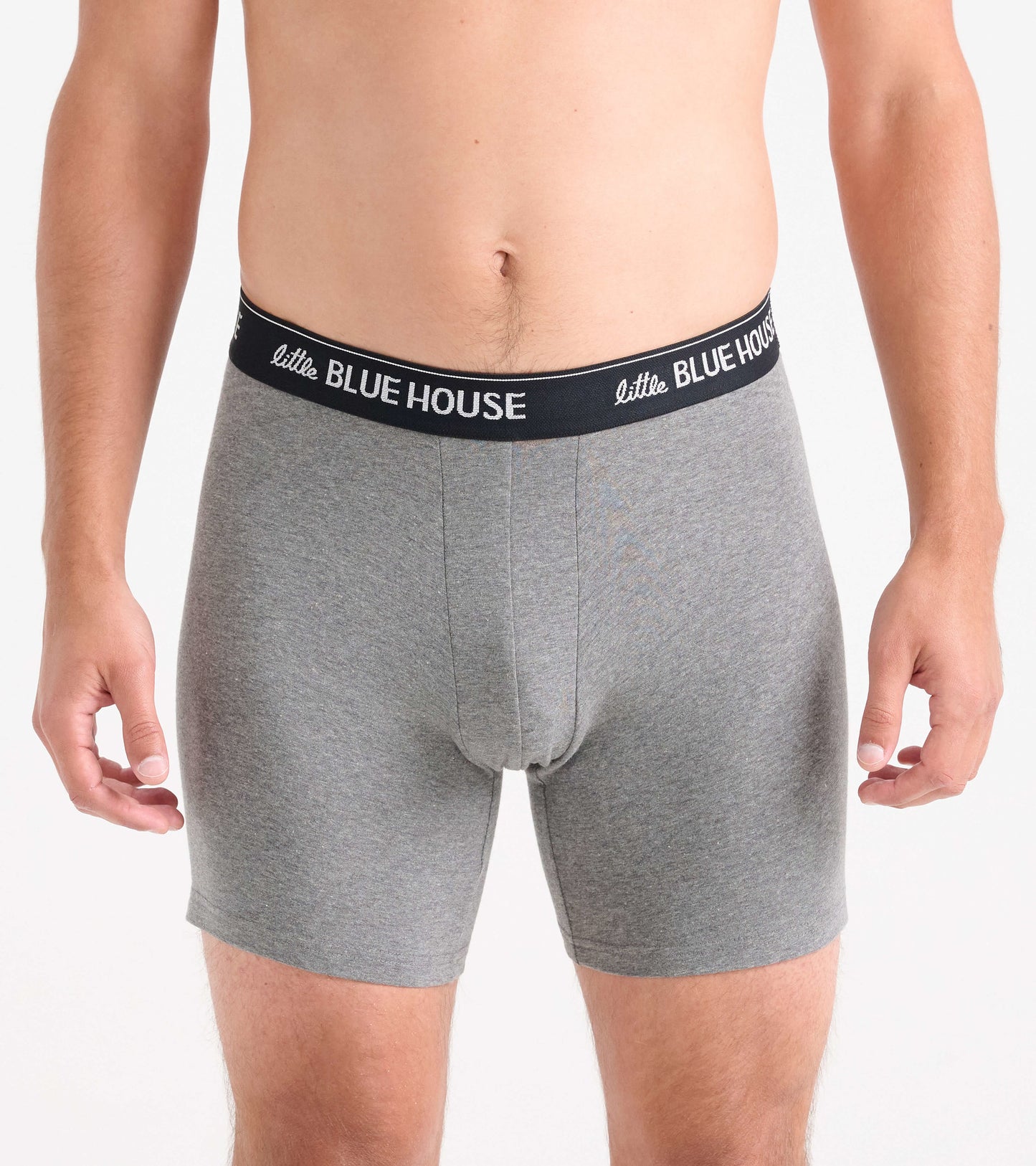 Gray men's boxer briefs with a black elastic waistband, featuring a snug fit and soft material.