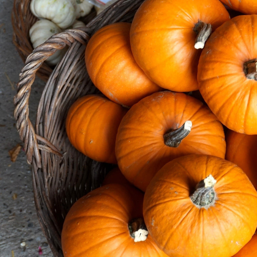 8 Kid-Friendly Halloween Activities to Try at Home