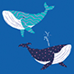 View Women's Fun Whales Boxers - Two illustrated birds, one teal above and one blue below, with white accents and scattered pink dots