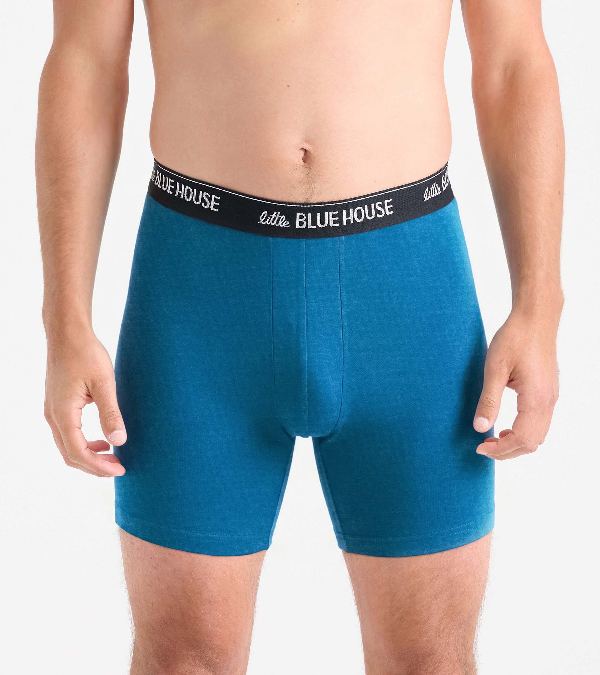 Men's blue boxer briefs with black logo waistband, front view