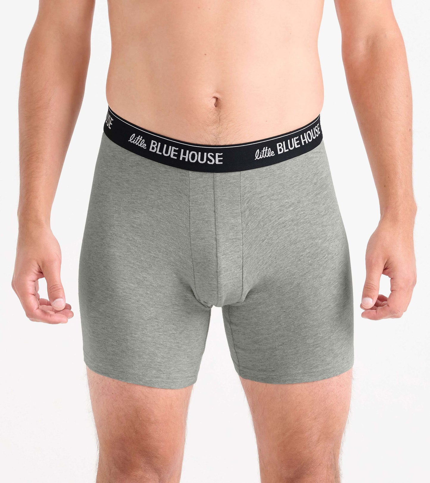 Gray men's boxer briefs with black logo waistband, front view