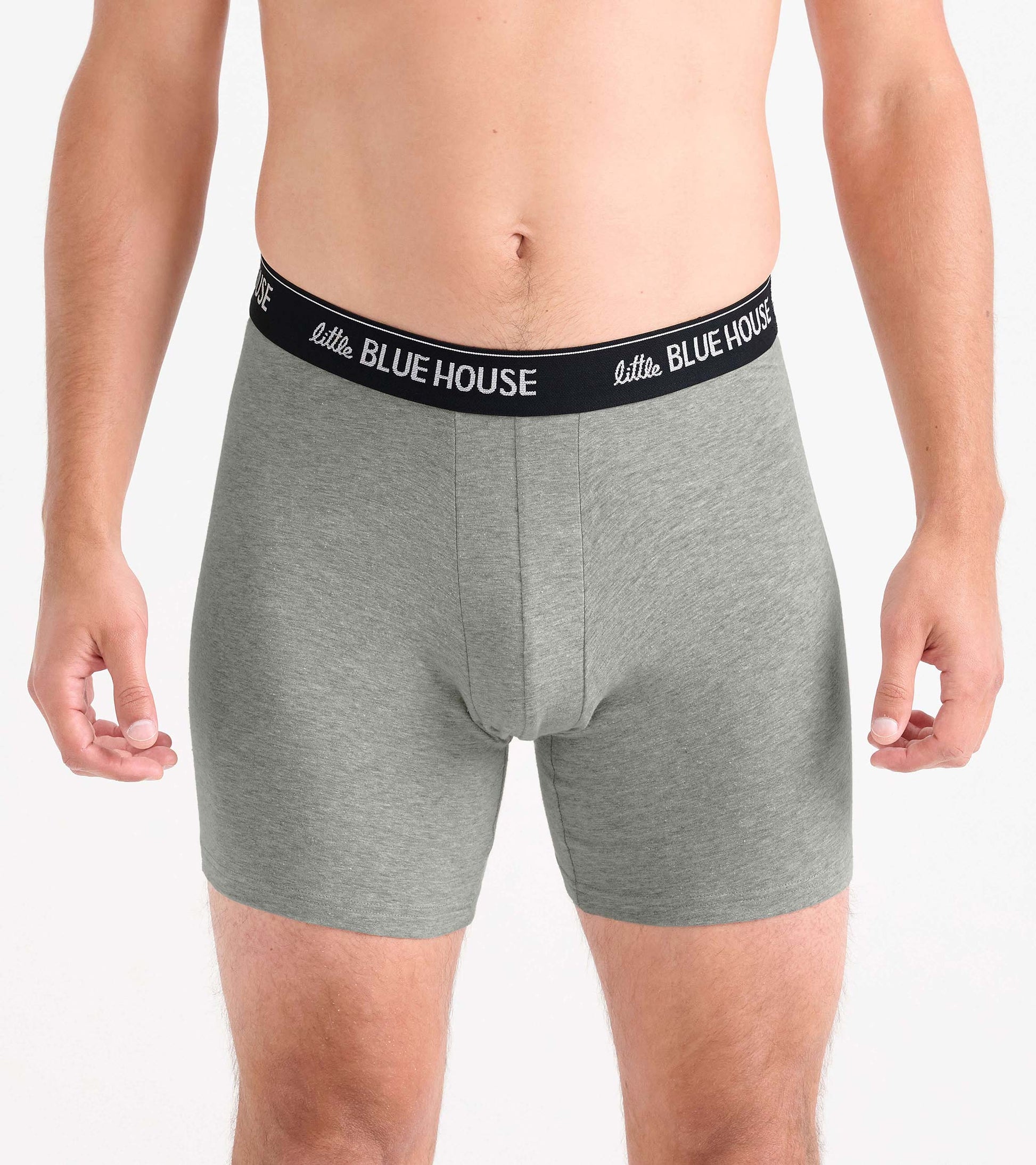 Gray men's boxer briefs with black logo waistband, front view
