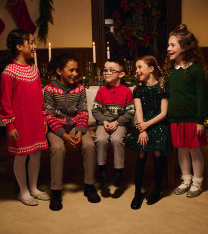 Pull à col montant – Wapitis des fêtes