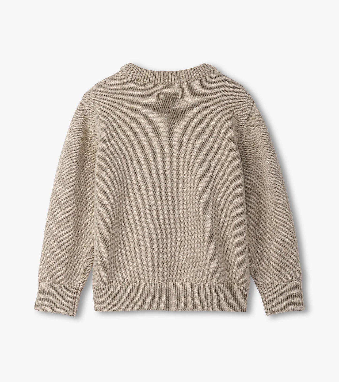 Beige crew neck sweater for boys, featuring a textured knit design and ribbed cuffs and hem. Back view displayed.