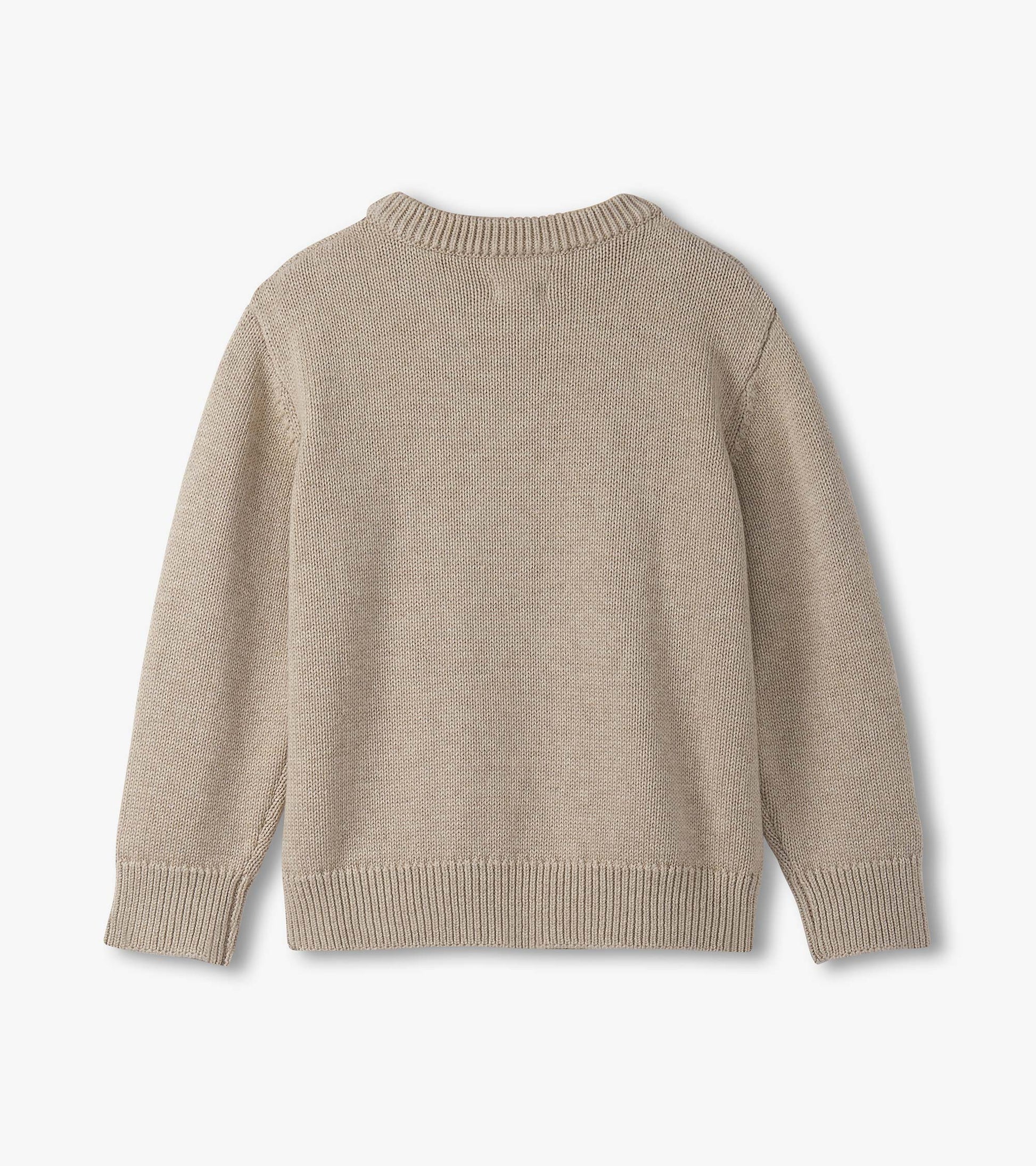 Beige crew neck sweater for boys, featuring a textured knit design and ribbed cuffs and hem. Back view displayed.
