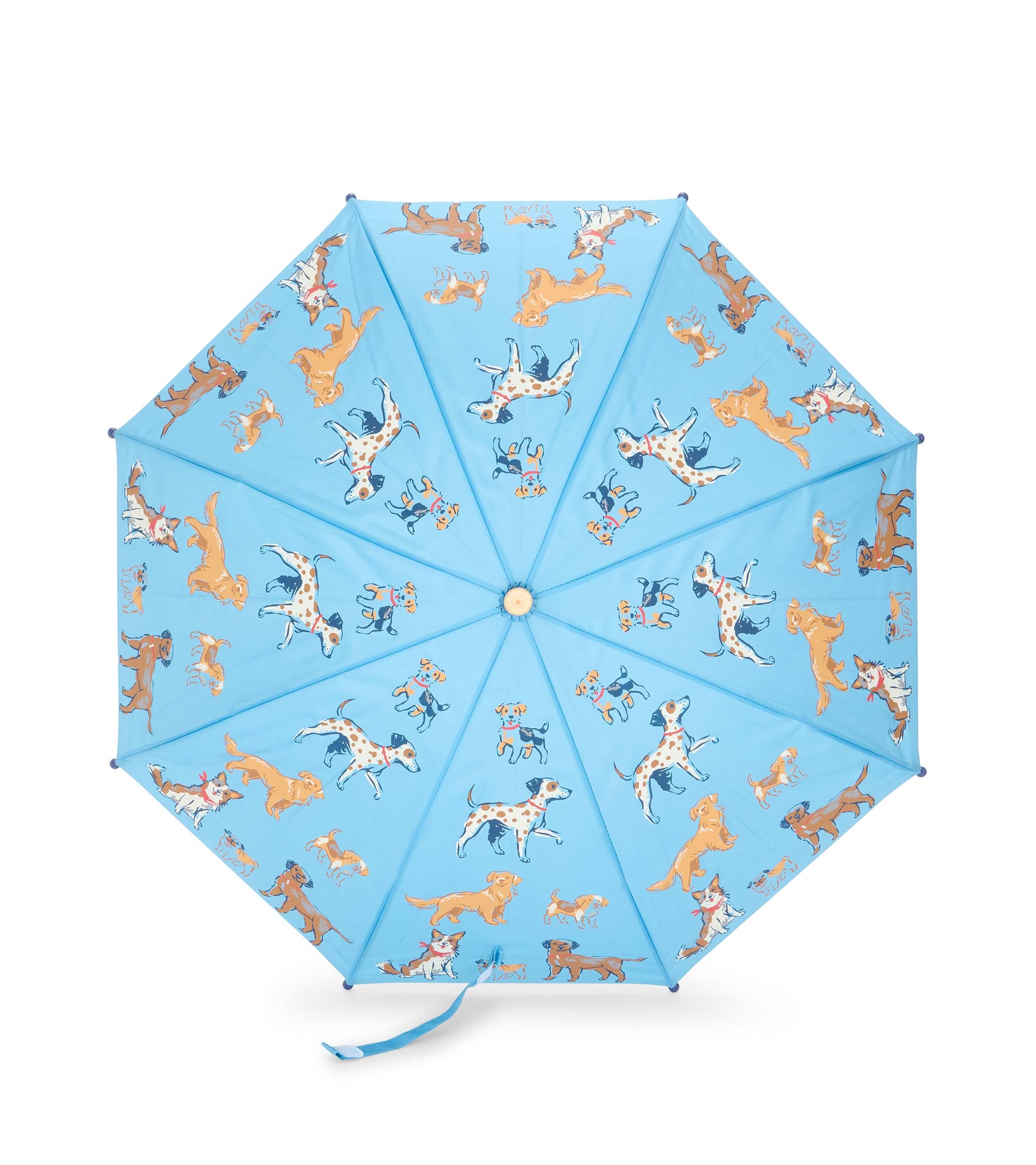 Top view of blue umbrella canopy with assorted dog illustrations