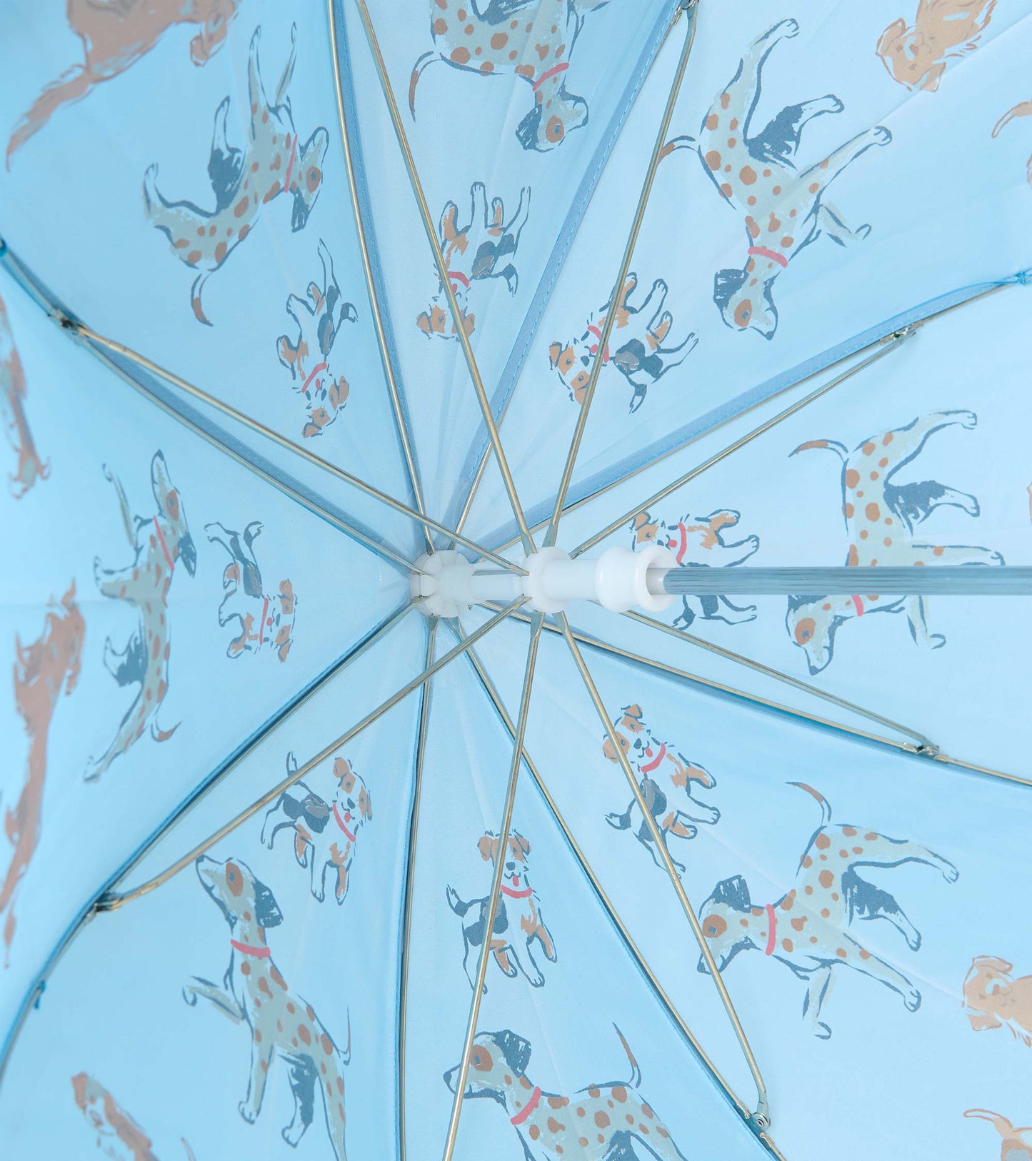 Interior view of blue umbrella showing metal ribs and dog print underside