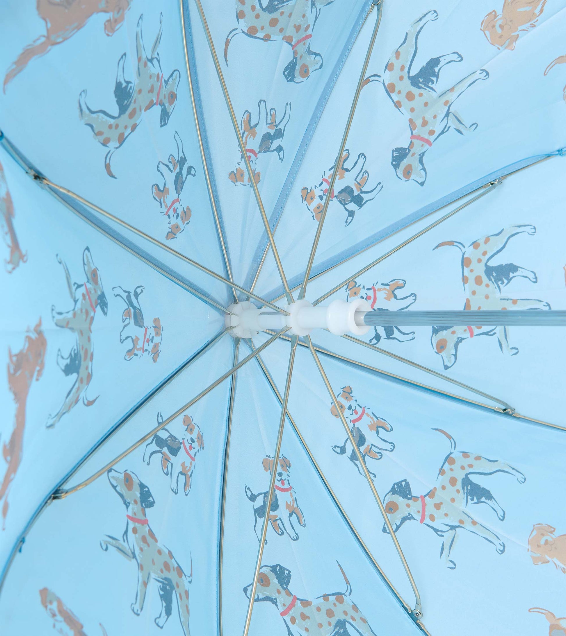 Interior view of blue umbrella showing metal ribs and dog print underside
